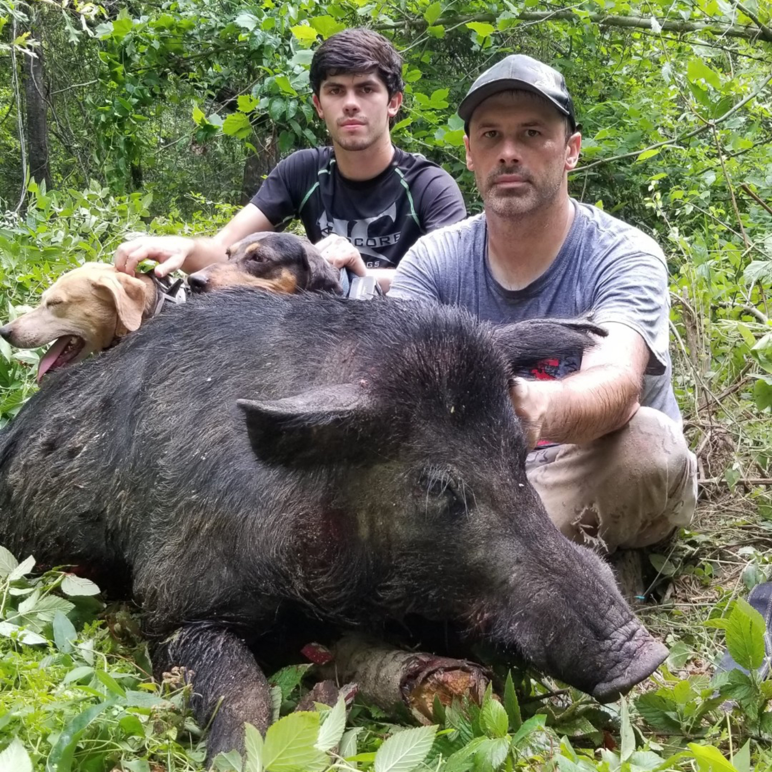 Hardcore Hounds & Hardcore Gear: Michael Spiehler of Hardcore Hog Dogs