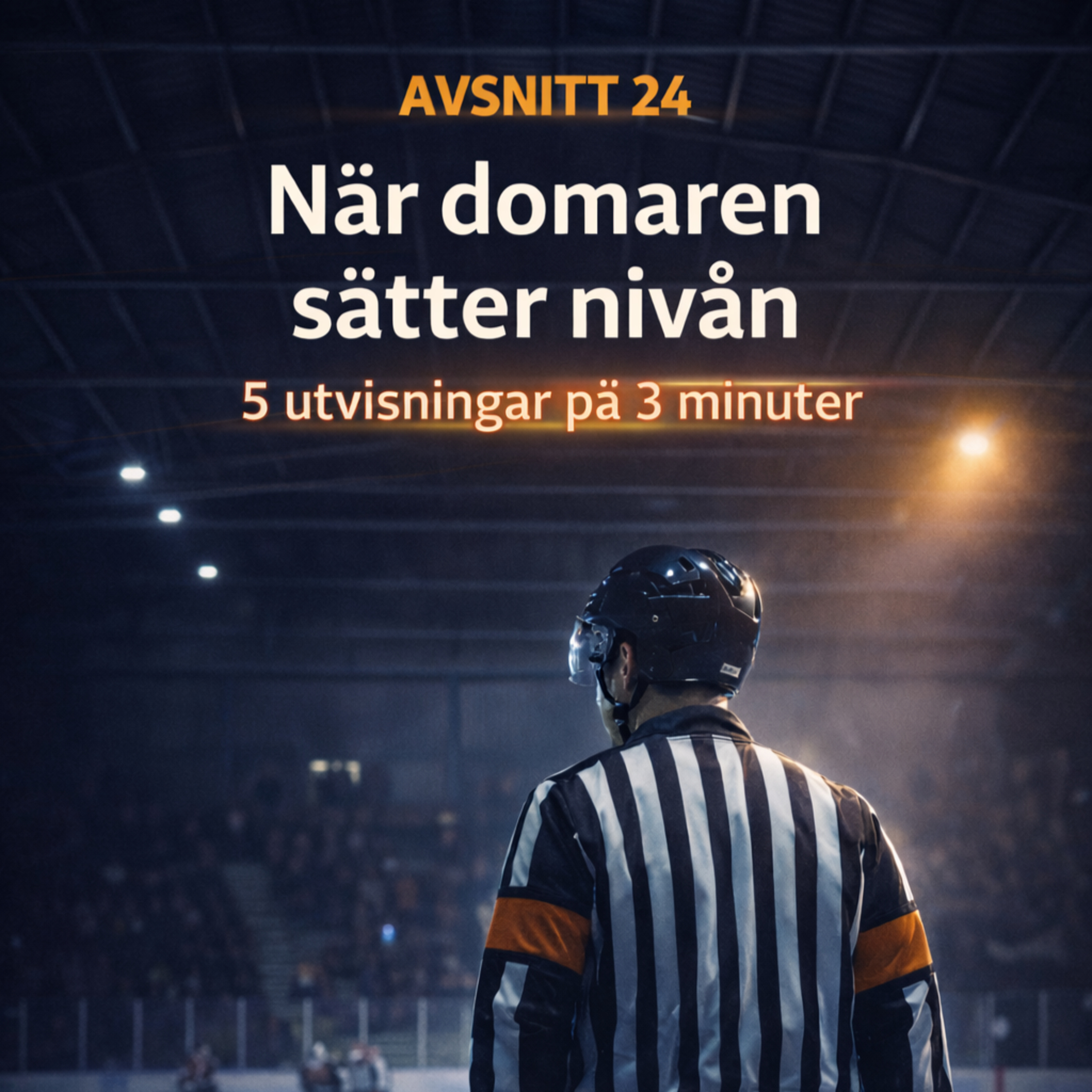 Distriktsdomarpodden - Hockey