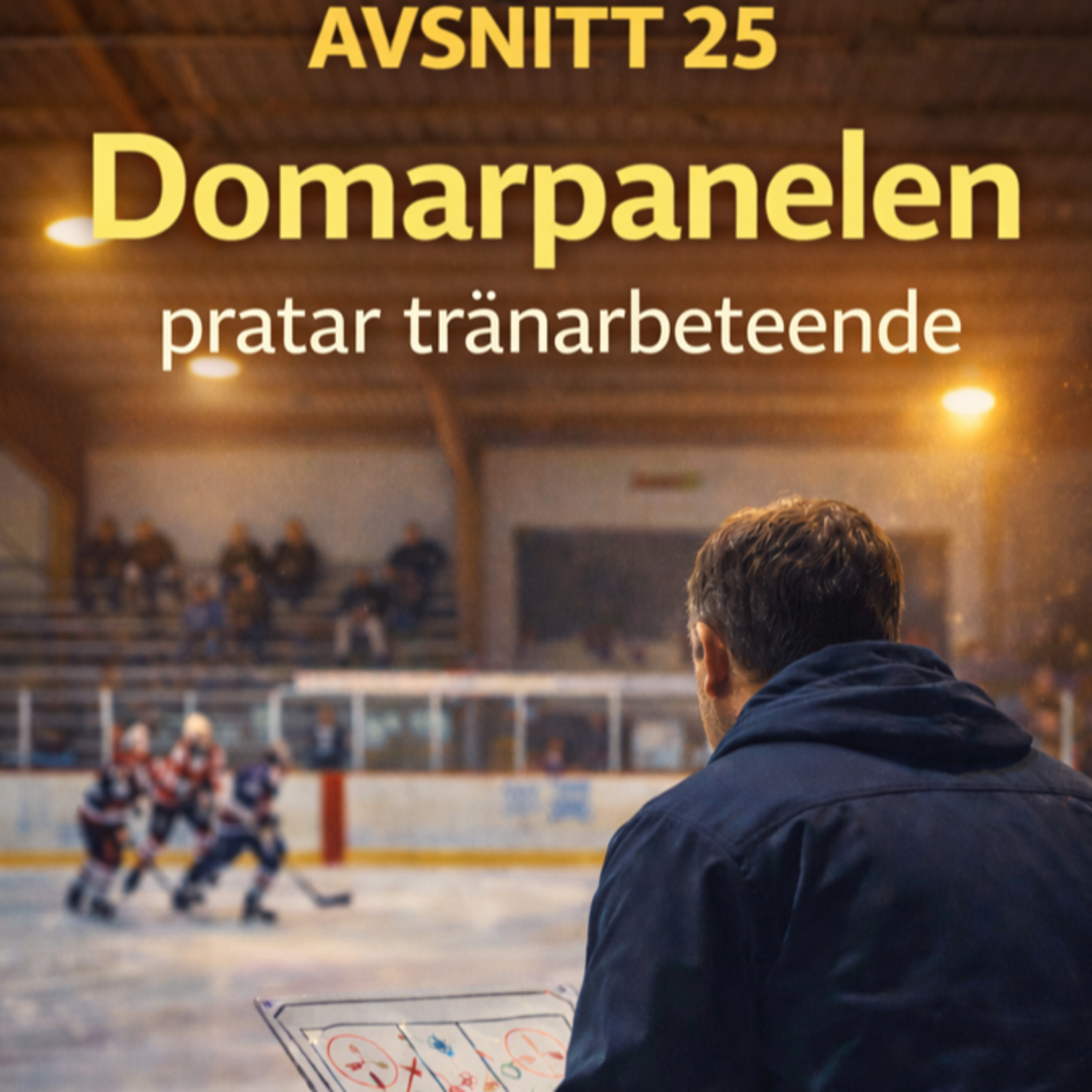 Distriktsdomarpodden - Hockey