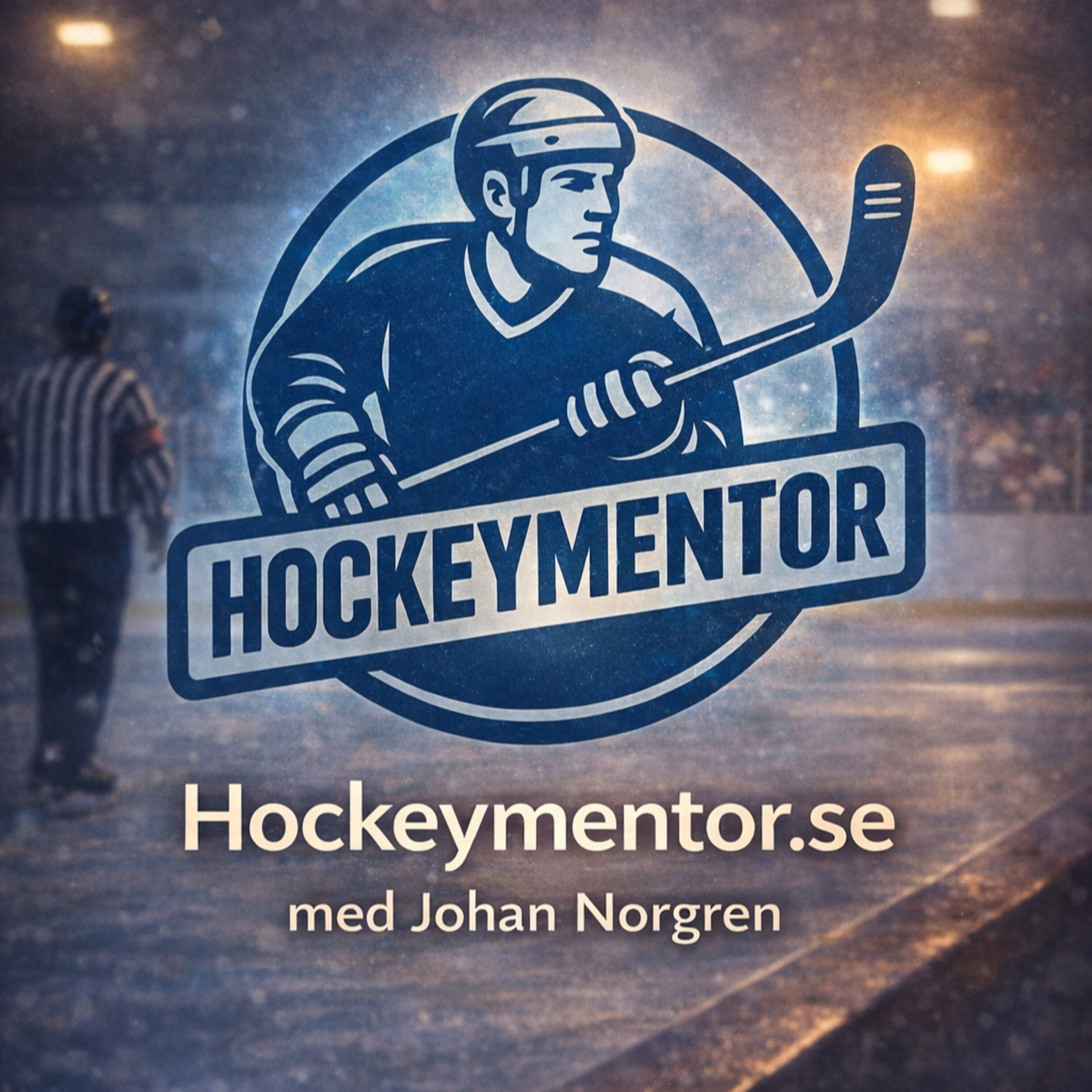 Distriktsdomarpodden - Hockey