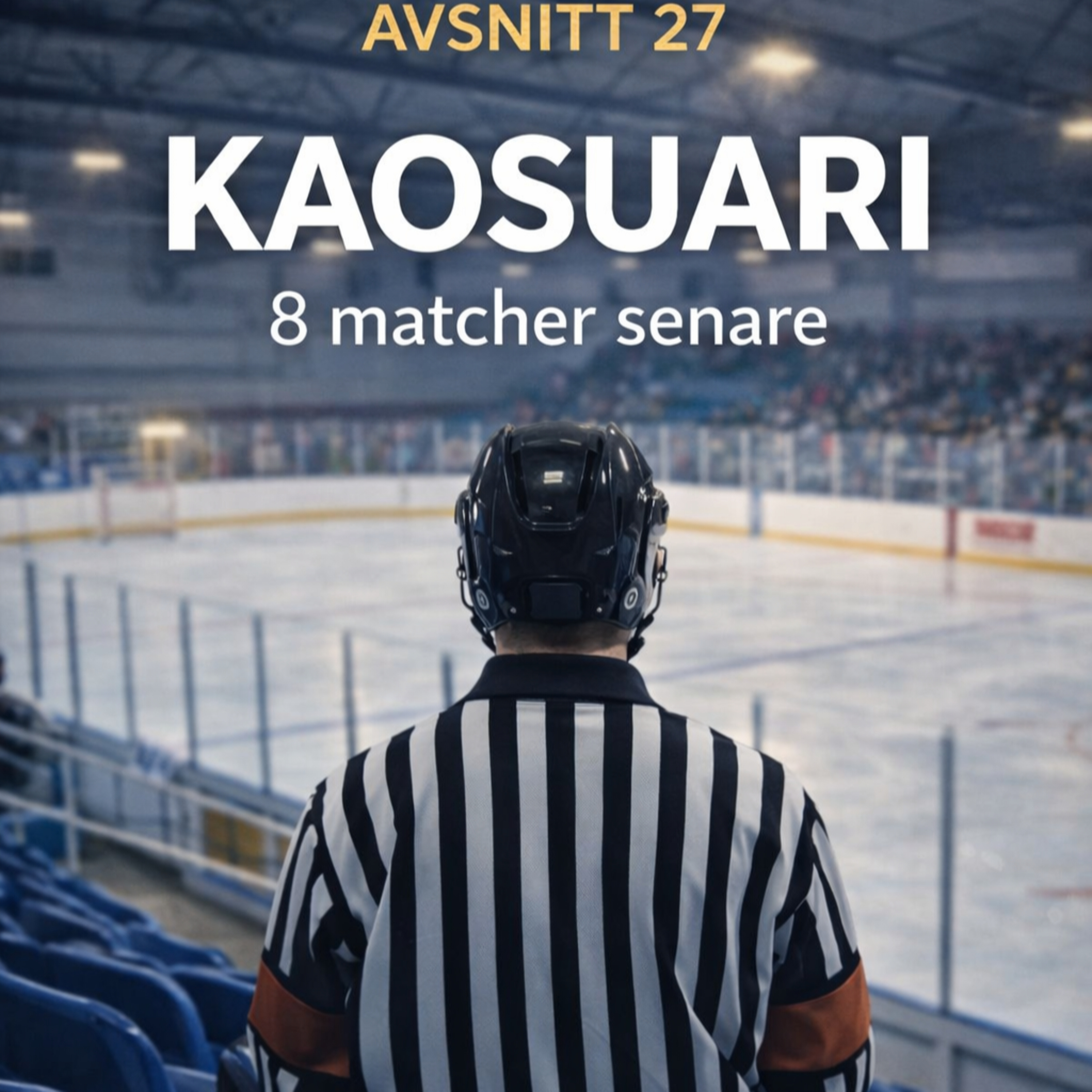 Distriktsdomarpodden - Hockey