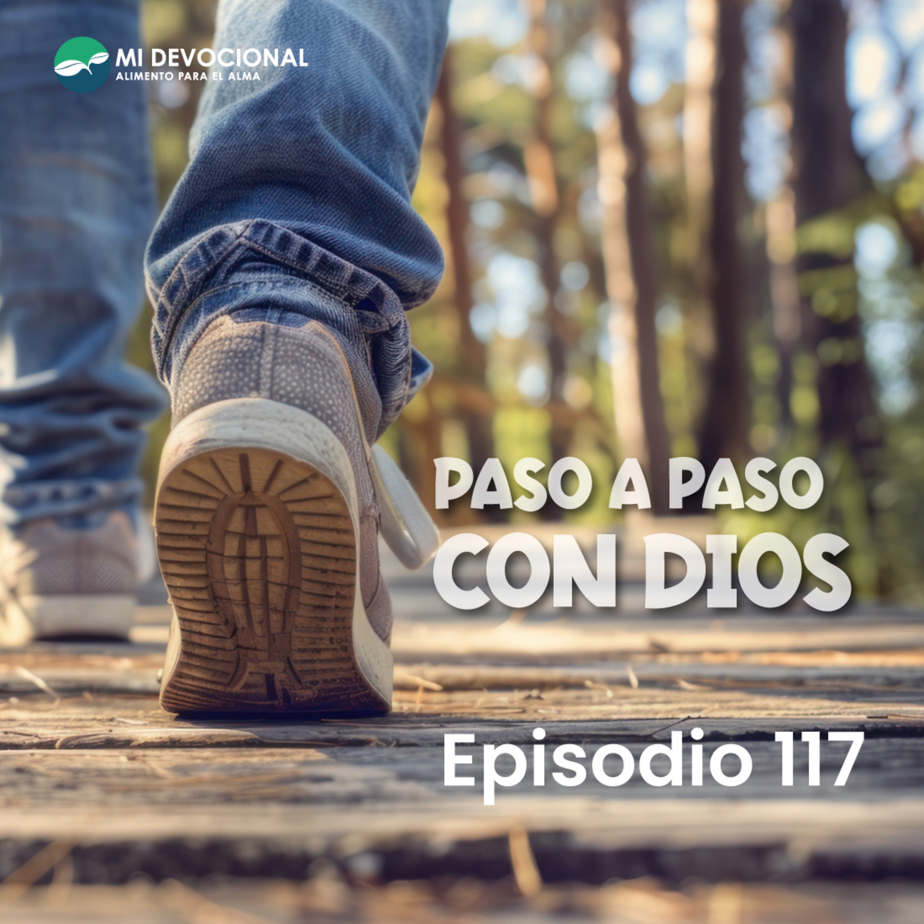 Episodio 117 – Contradicciones episode artwork