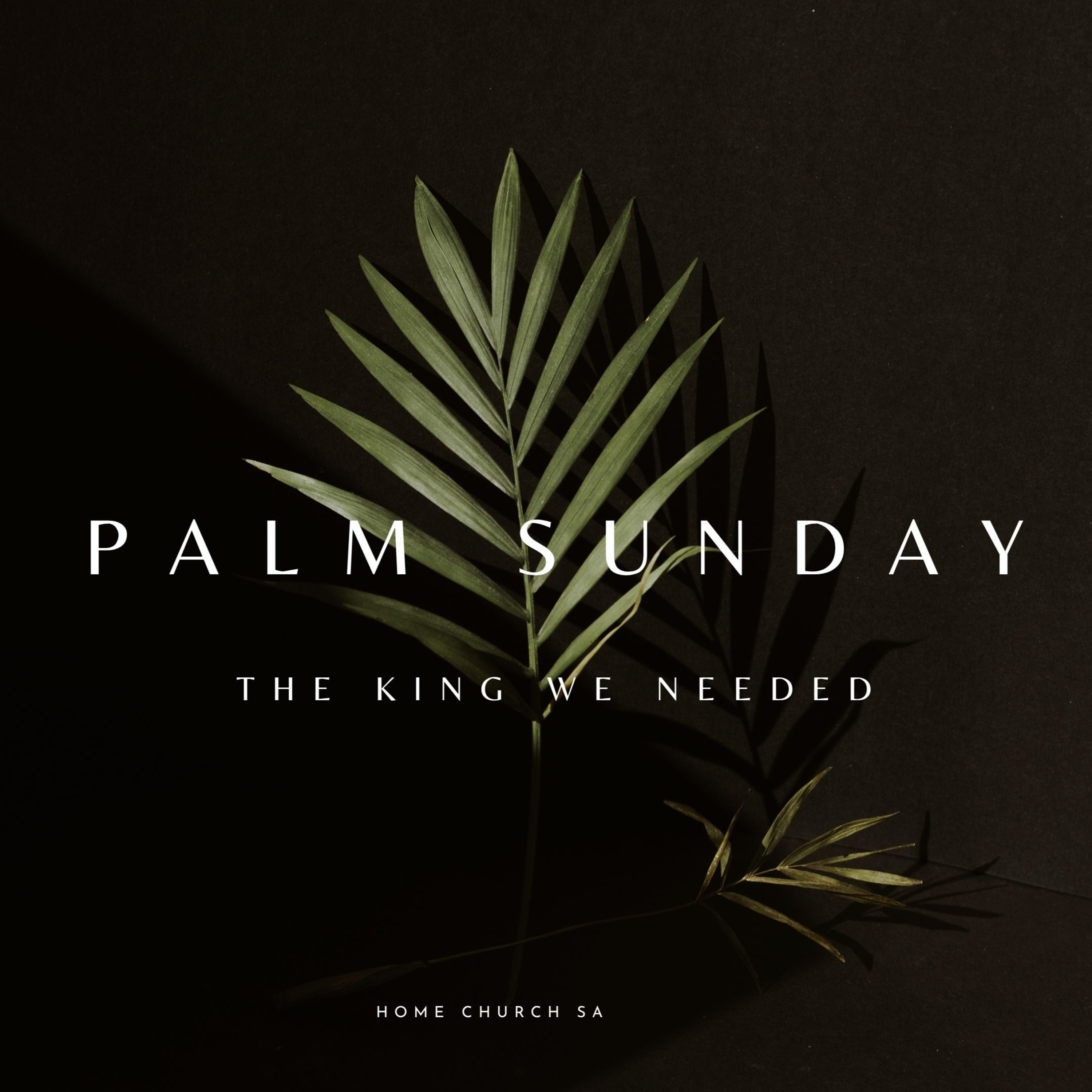 Palm Sunday - The King We Needed episode artwork