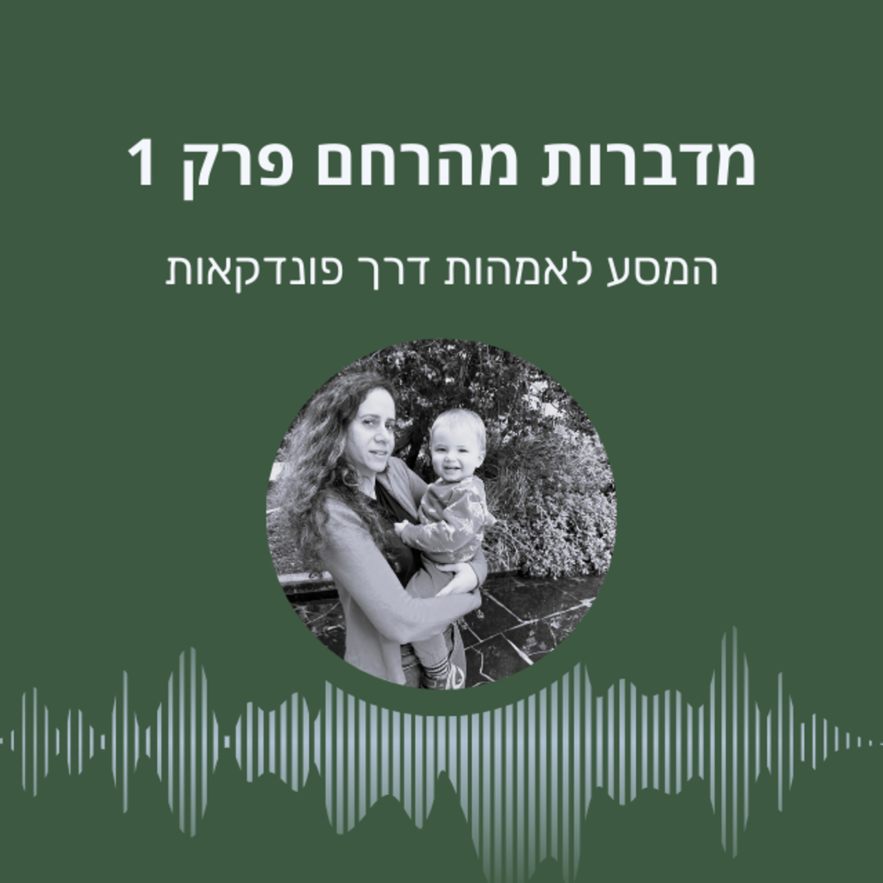 המסע לאמהות דרך פונדקאות episode artwork