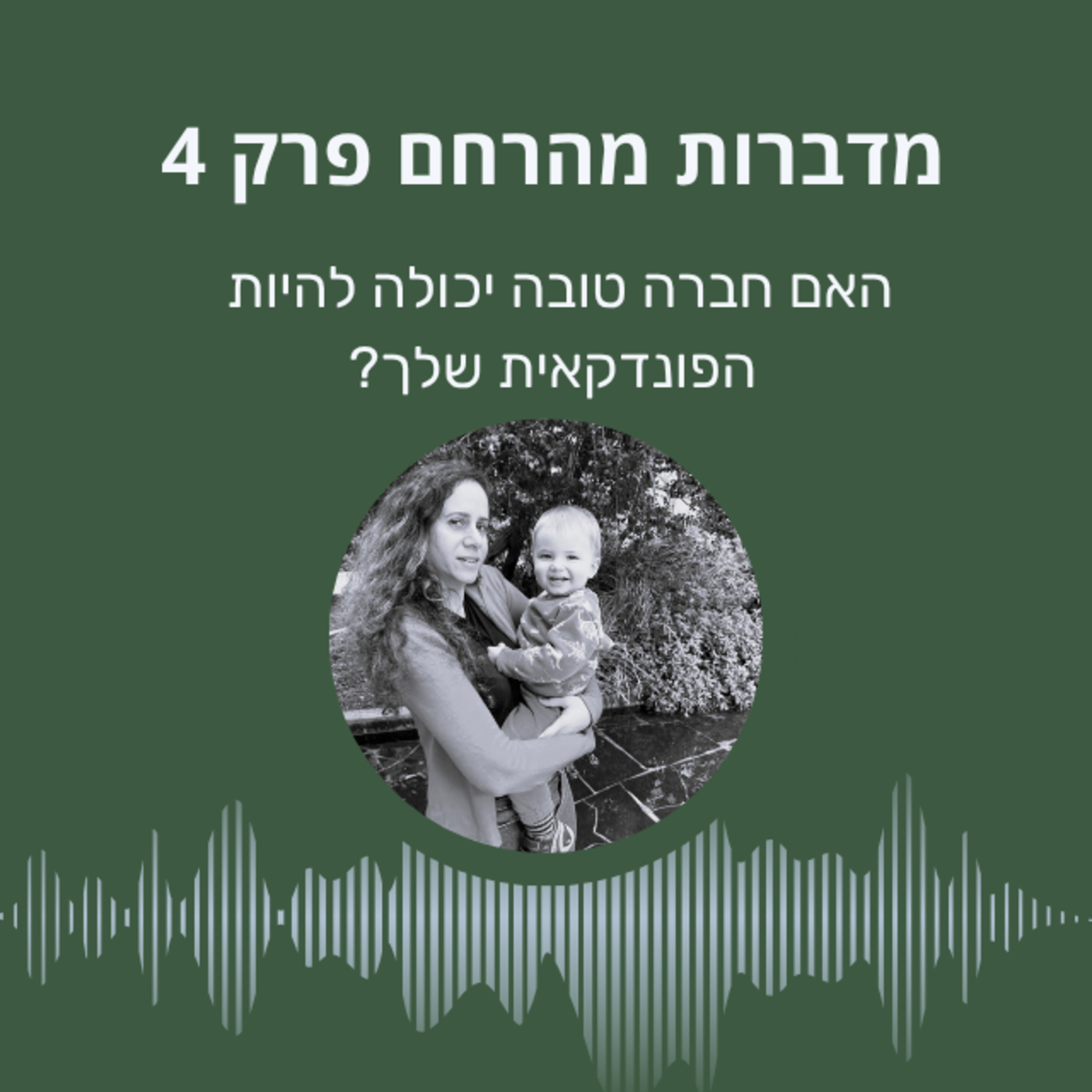 בעד ונגד של בחירת חברה טובה כפונדקאית episode artwork