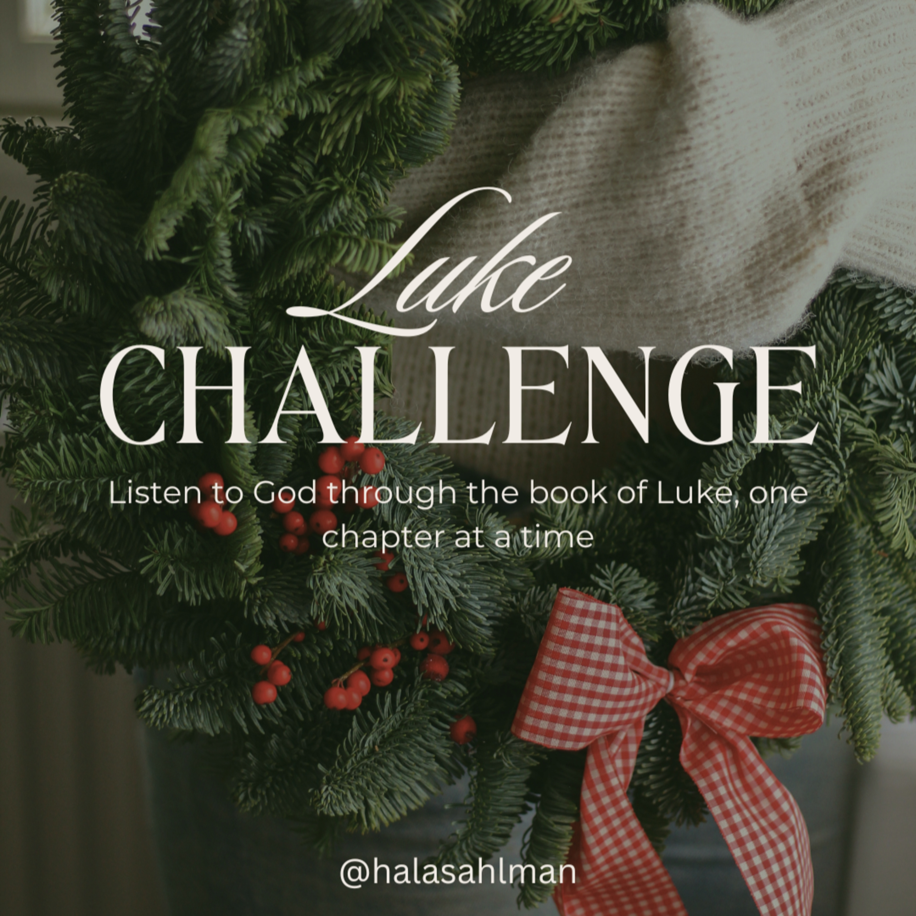 Luke Challenge: Day 13, Luke Ch 13 episode artwork