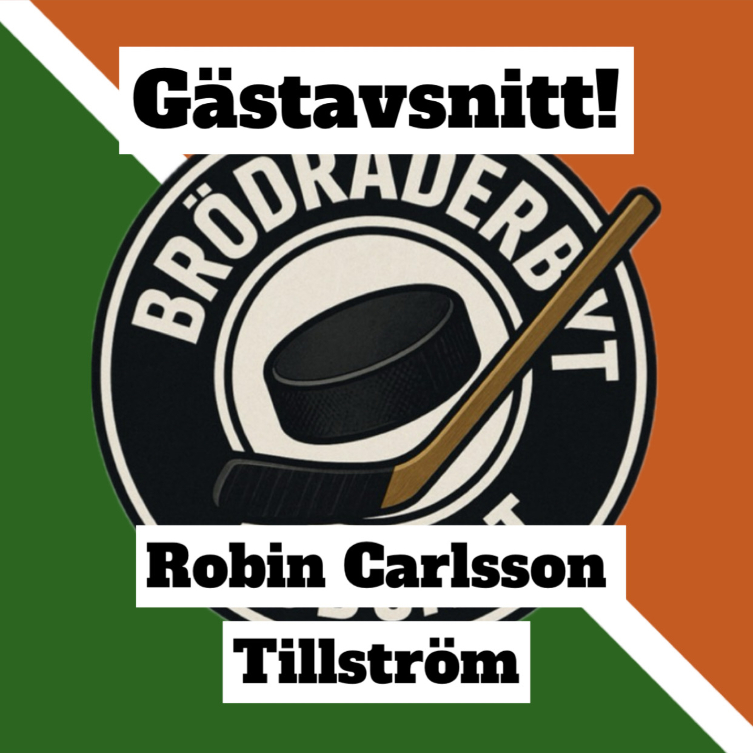 #12 Gäst: Robin Carlsson Tillström - "tror vi hade slagit Hudiksvall” episode artwork