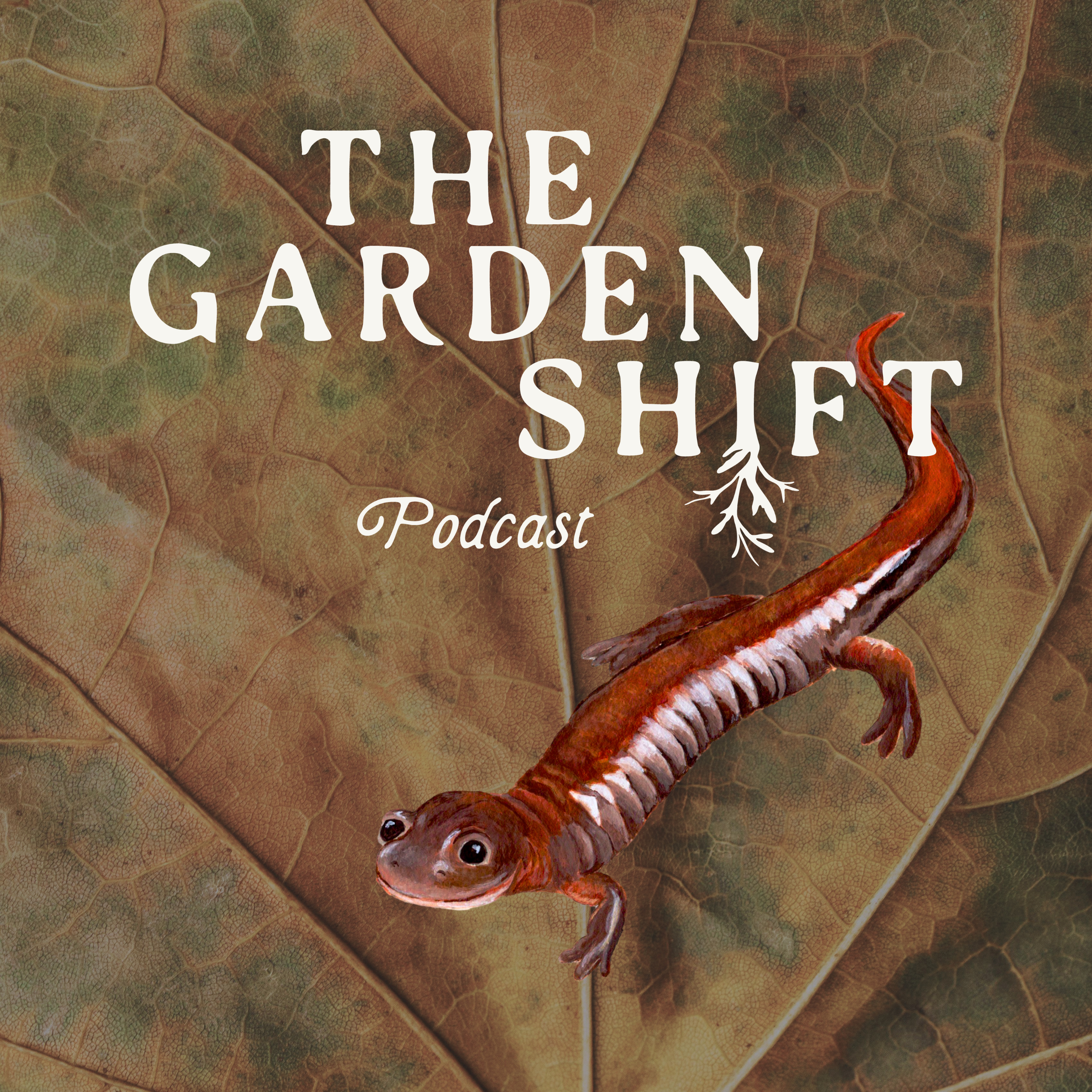 The Toronto Plant Market with Jonas Spring, Parker Dirks and Julia Pingeton episode artwork