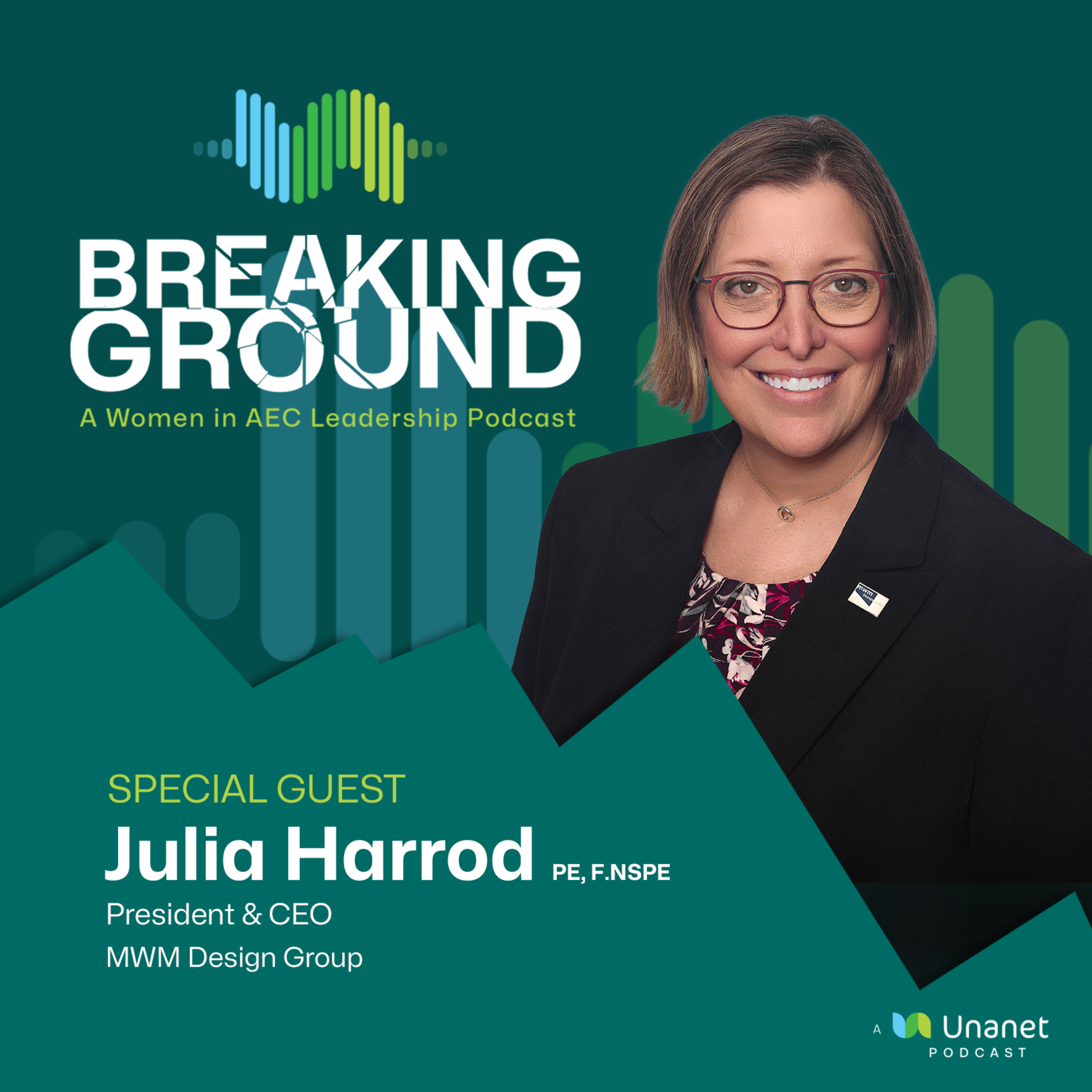 Julia’s Story: Elevate Your Leadership episode artwork