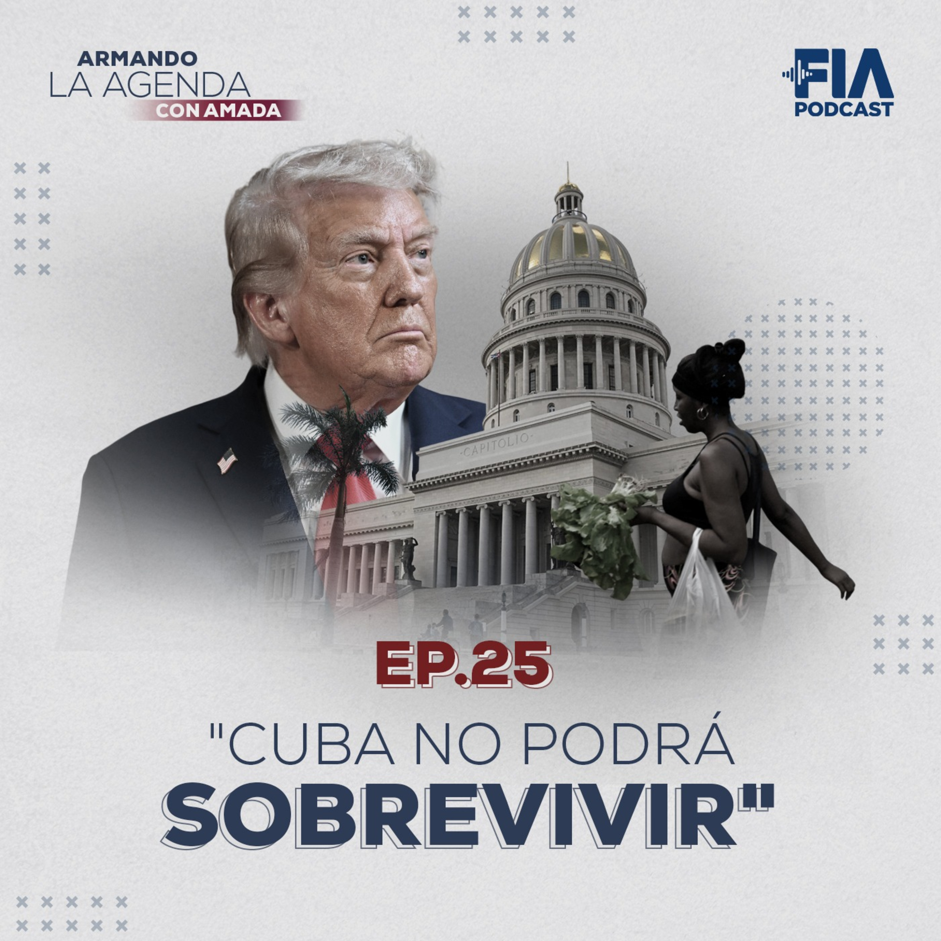Armando la Agenda con Amada