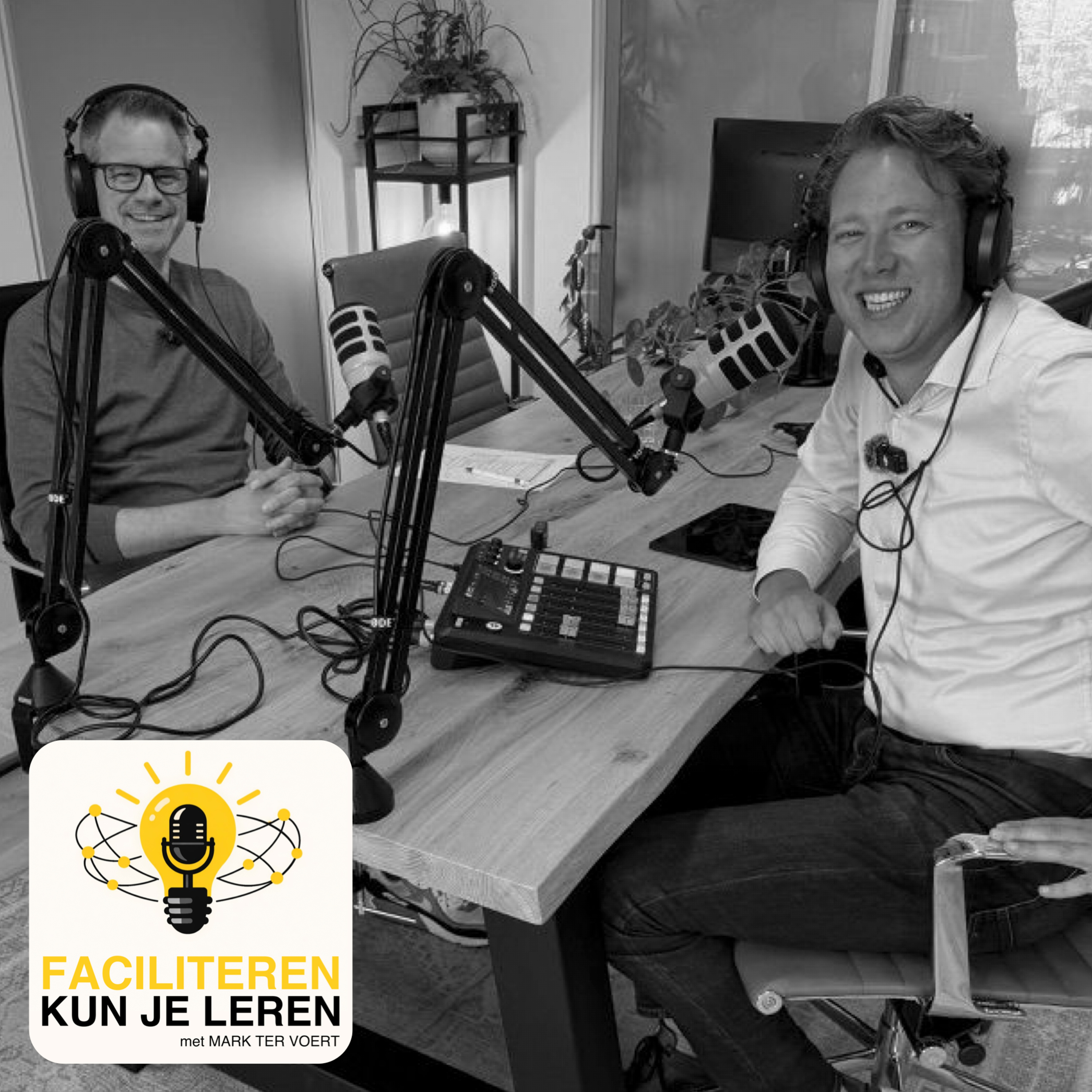 Faciliteren #4 Niels Woudboer over samenwerken onder spanning en cultuurverschillen episode artwork