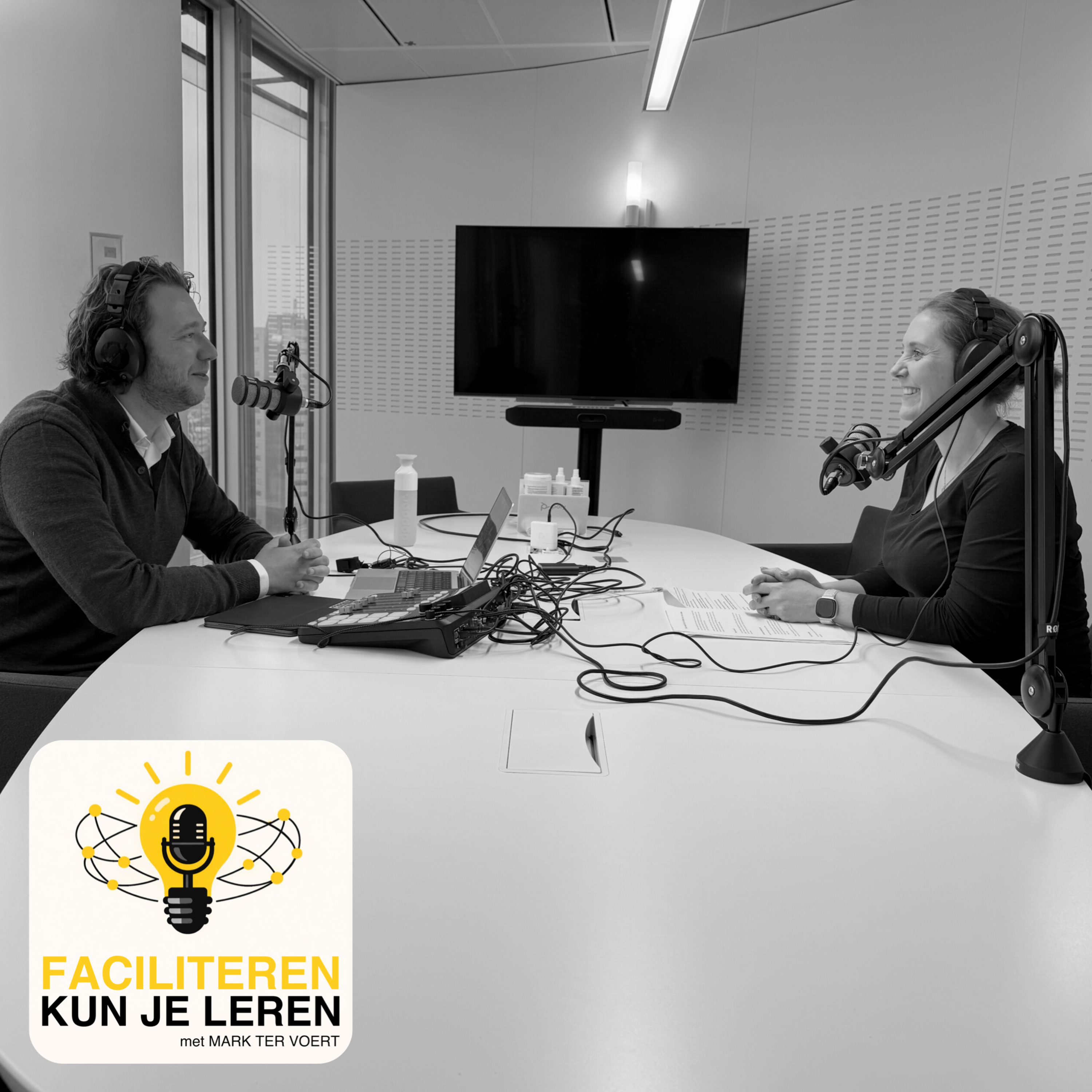Faciliteren #5 Sarah Derriks - de Wit over als het allemaal anders loopt dan je had bedacht en hoe je daarmee omgaat episode artwork