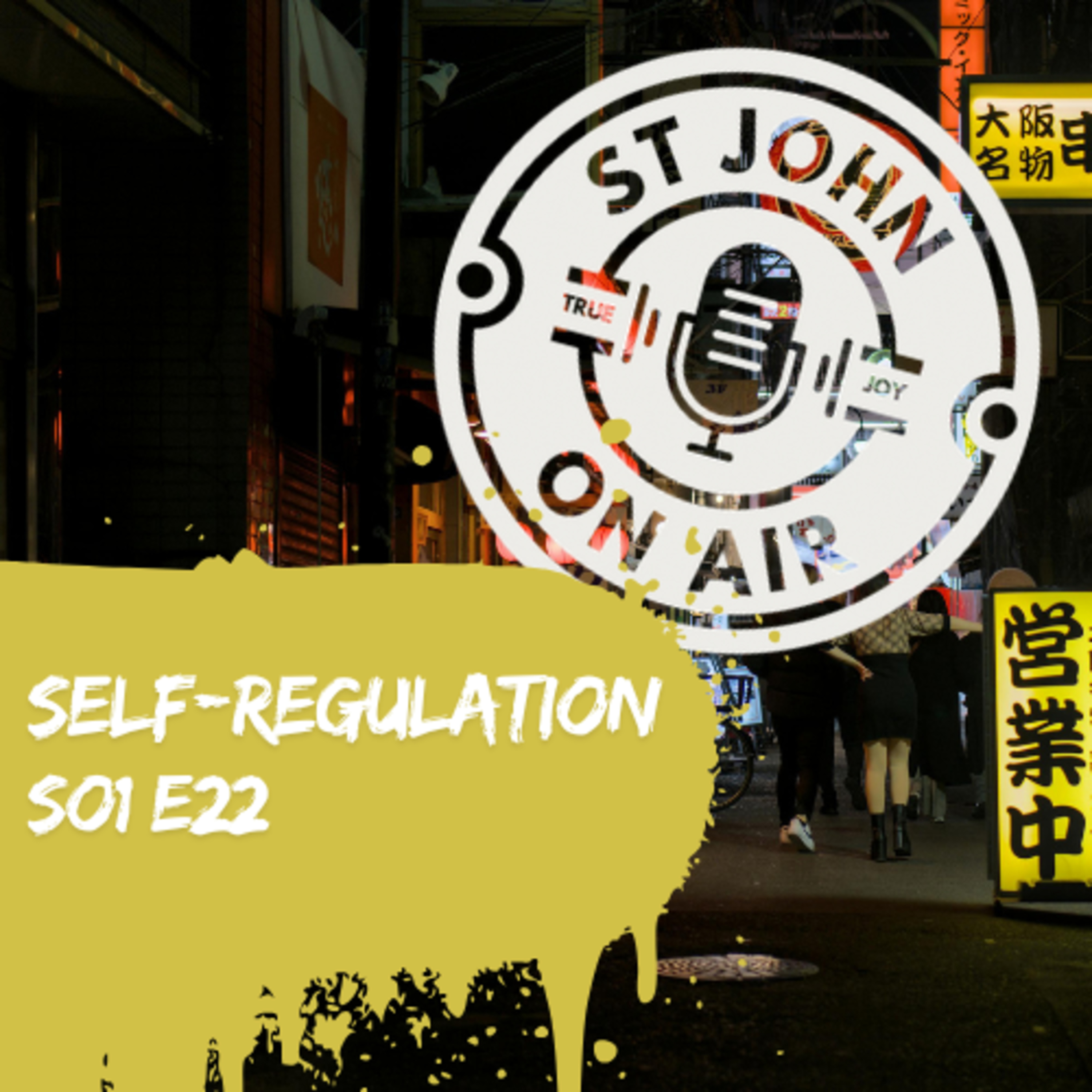 #022 Self-Regulation episode artwork