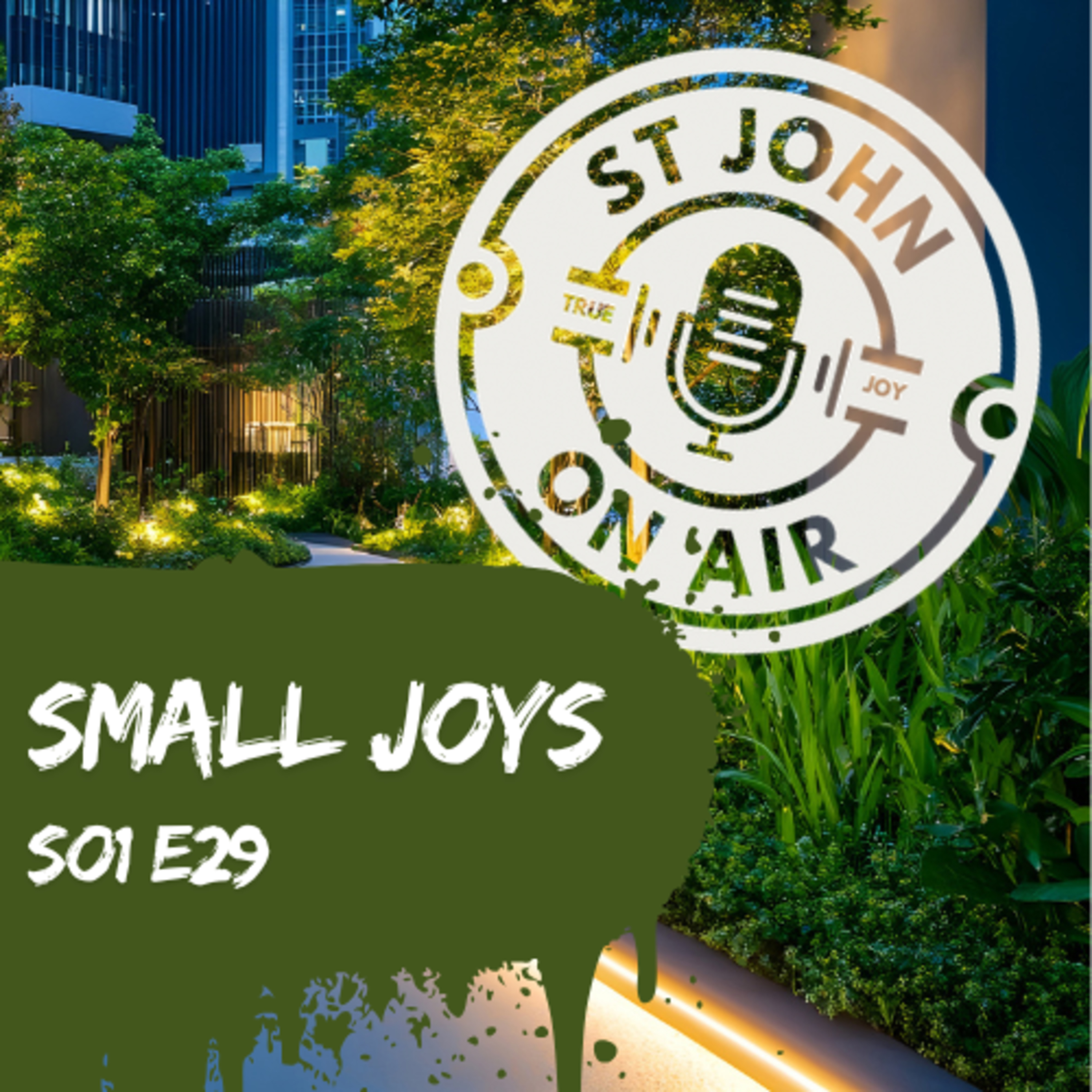 #029 Small Joys episode artwork