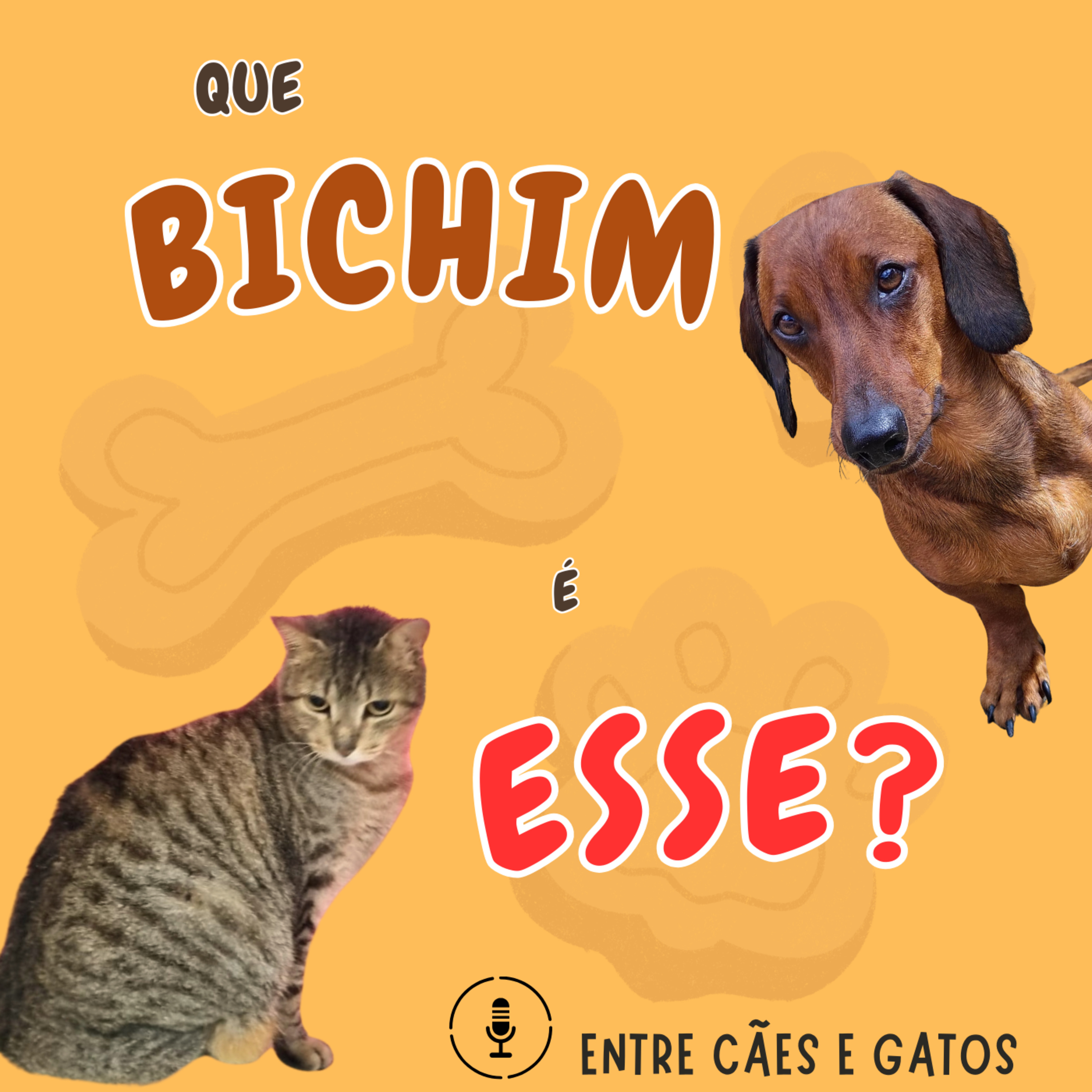 O cinema ama, sua vó tem medo: o injustiçado morcego.