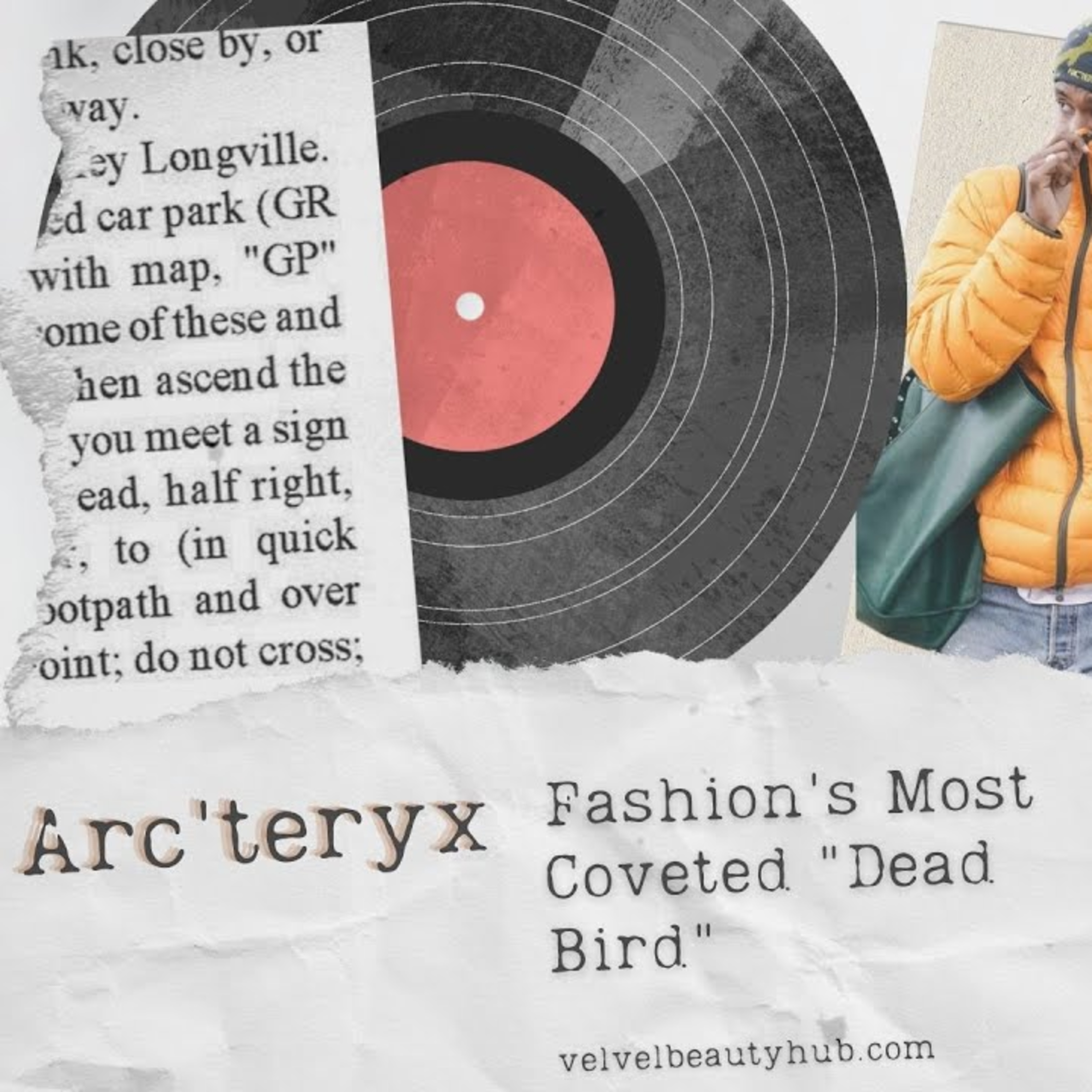 🏔️ The Arc'teryx Revolution: How a Basement Startup Became Fashion's Most Coveted "Dead Bird" episode artwork