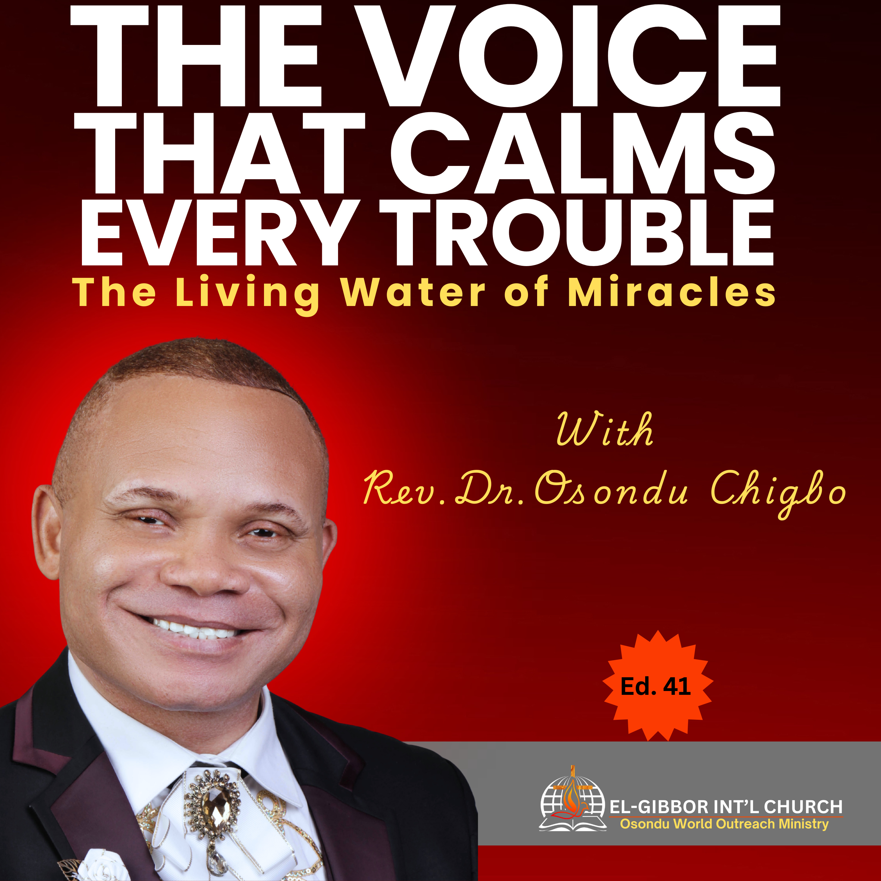 THE VOICE THAT CALMS EVERY TROUBLE | The Living Water of Miracles | Rev. Dr. Osondu  episode artwork
