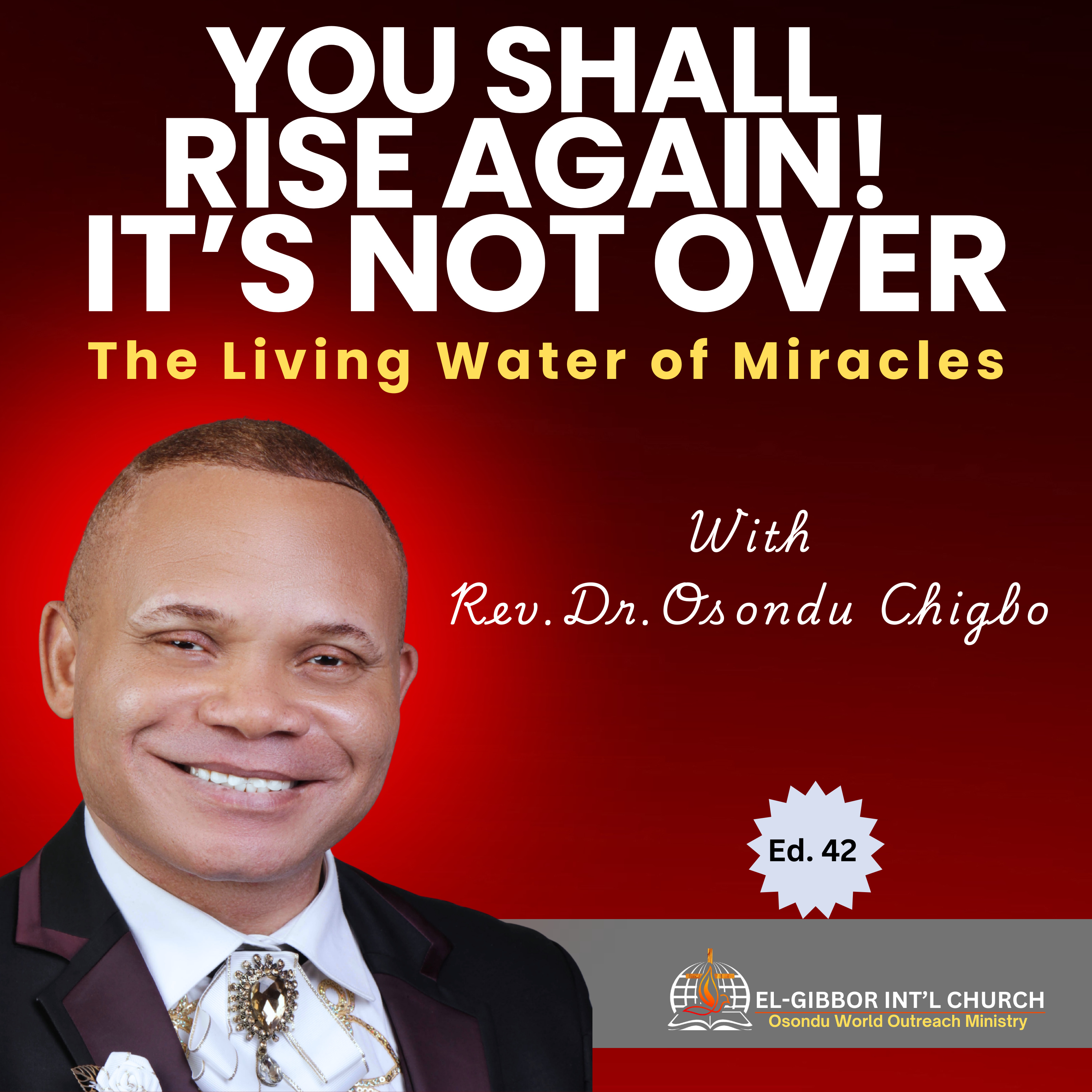 When the Enemy Thinks It’s Over – You Shall Rise Again! | The Living Water of Miracles | Rev. Dr. Osondu  episode artwork
