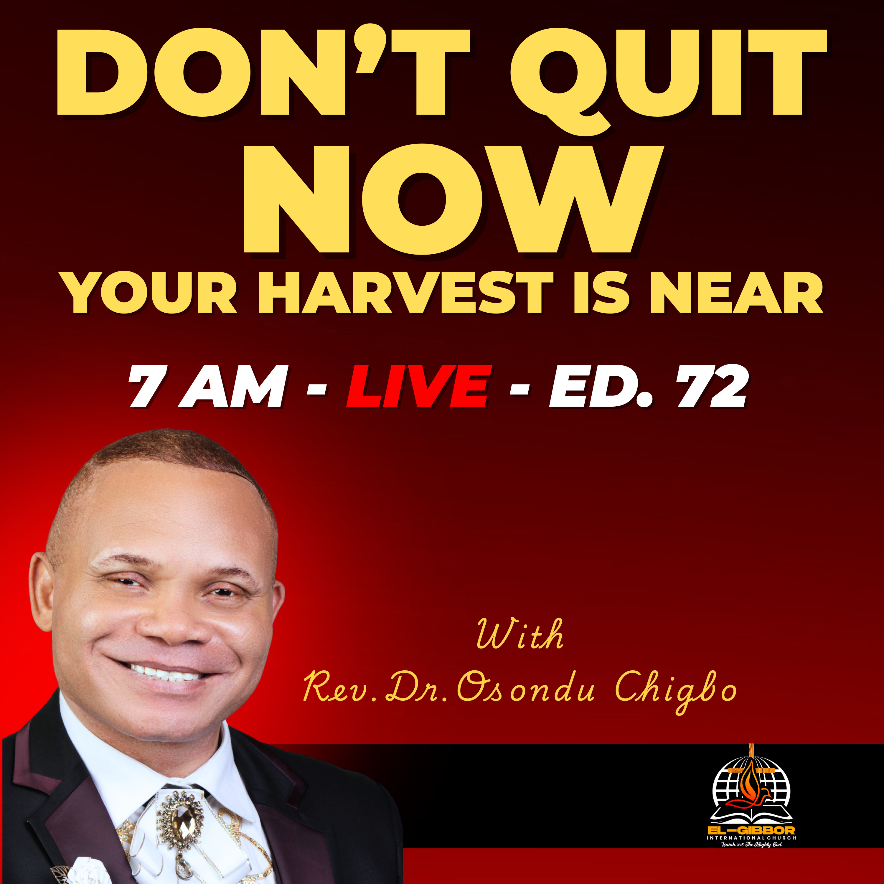 Why Consistency Is the Secret to Your Harvest || Rev Dr. Osondu Chigbo episode artwork