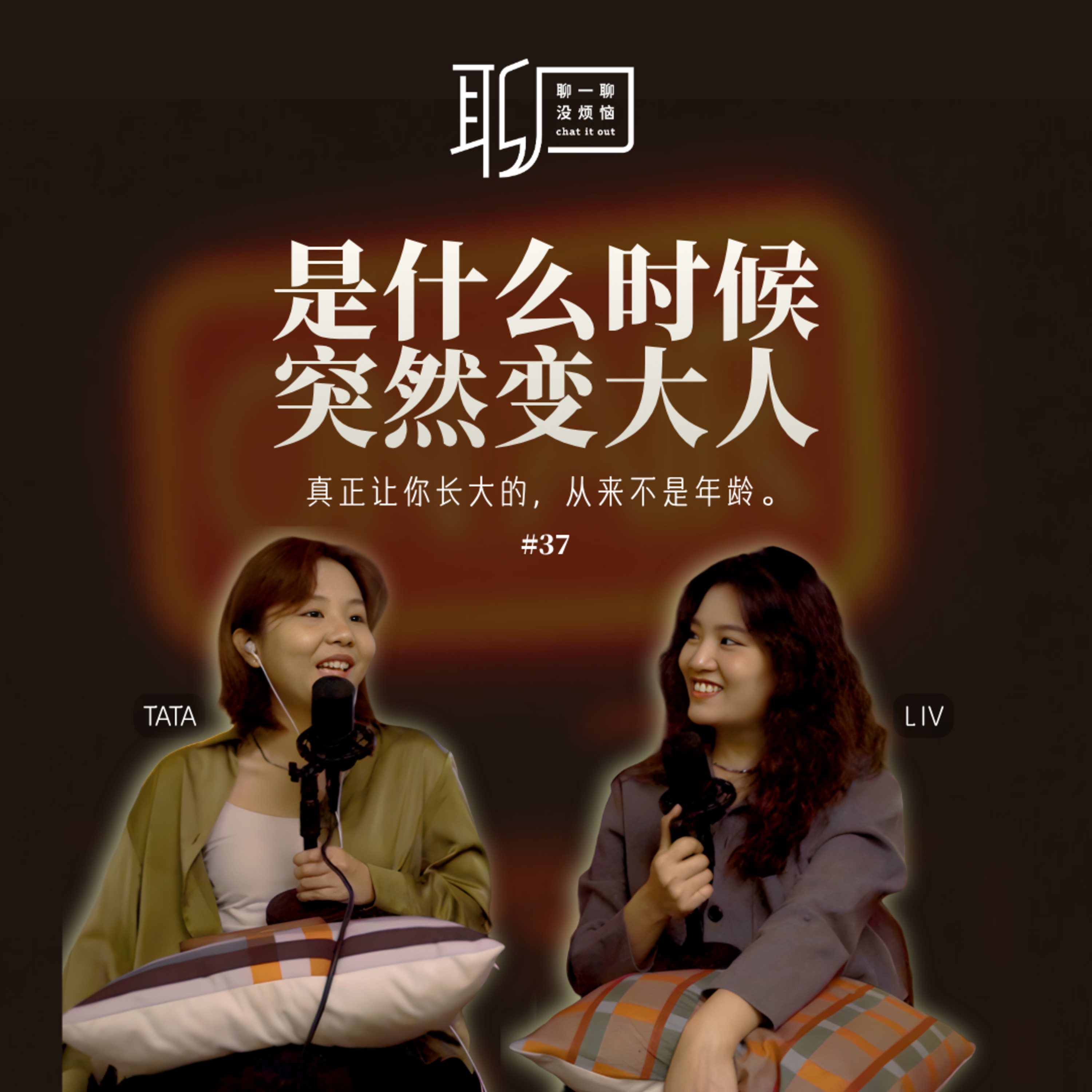 EP37. 变大人的瞬间 | 长大后才懂的人生课 | 私人大学 vs 政府大学