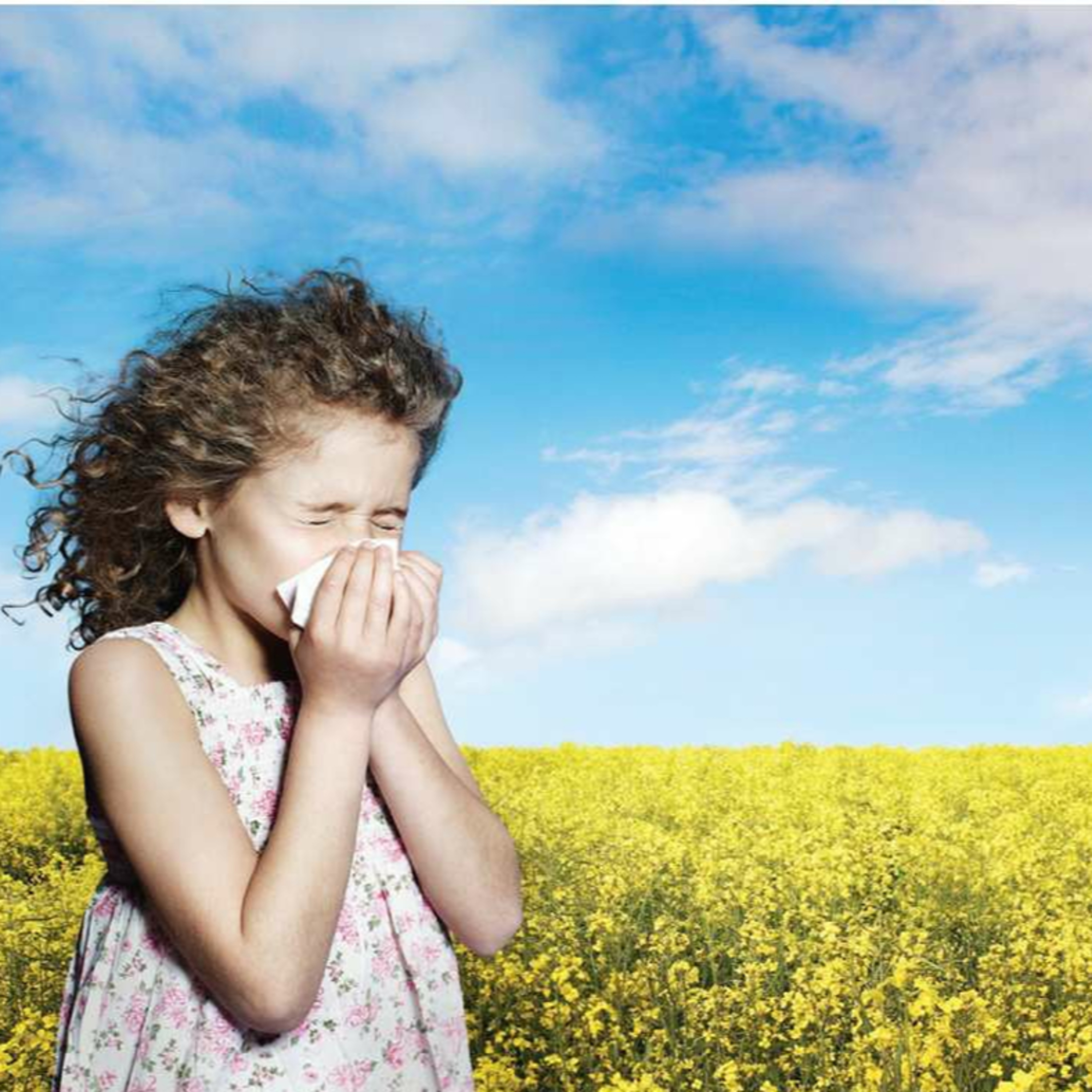 Allergy, Hypersensitivities, and Chronic Inflammation( immunology part 15)