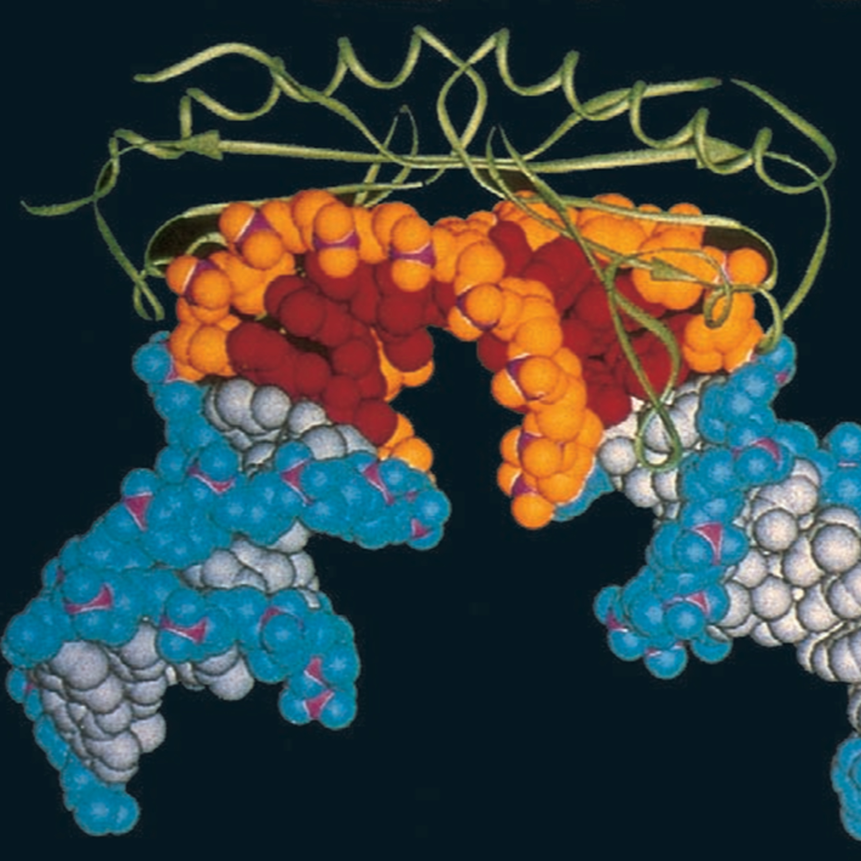 General Transcription Factors in Eukaryotes (CMB part 9)