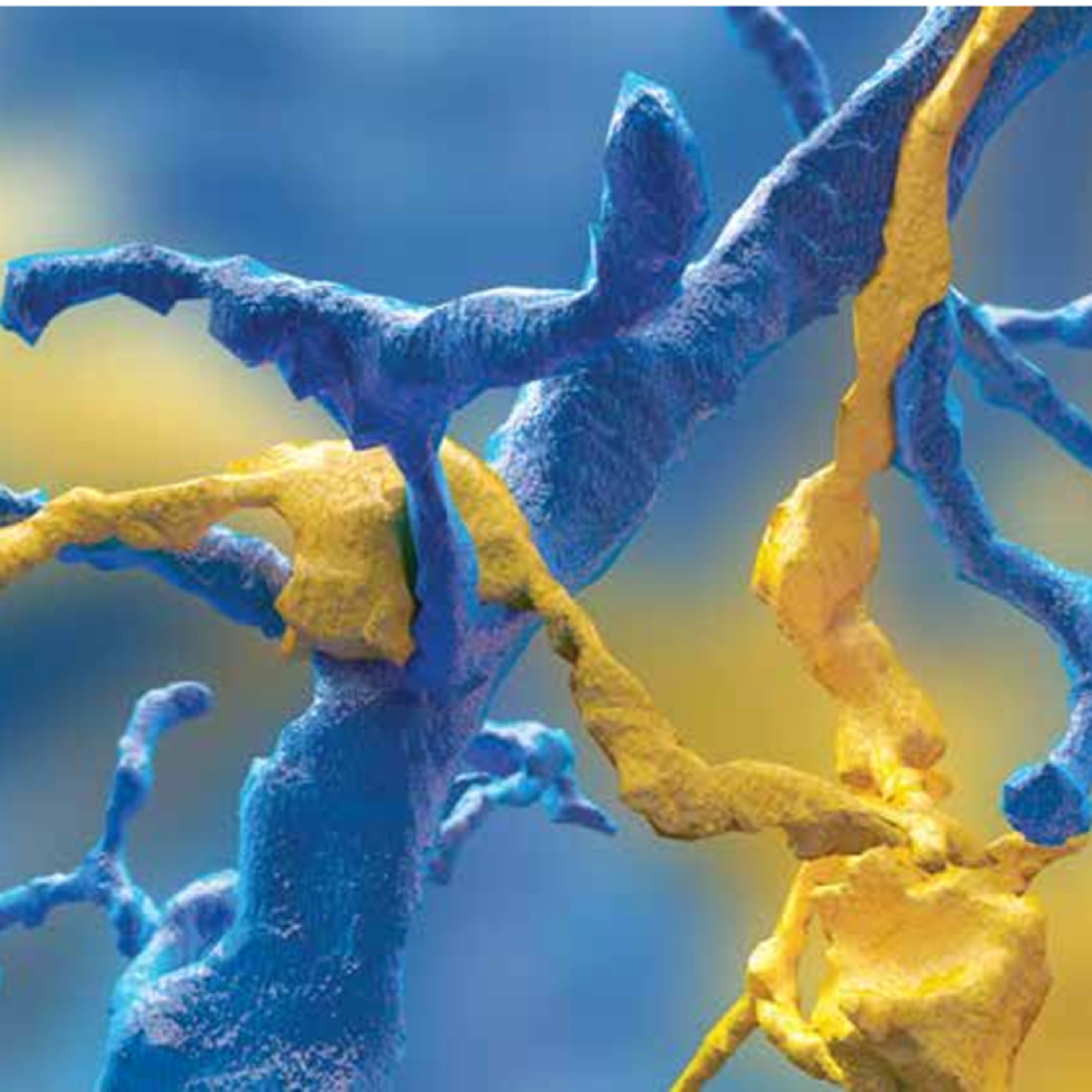 From Skull Guesswork to Synaptic Gaps: The Epic History of Neuron (Section 1)