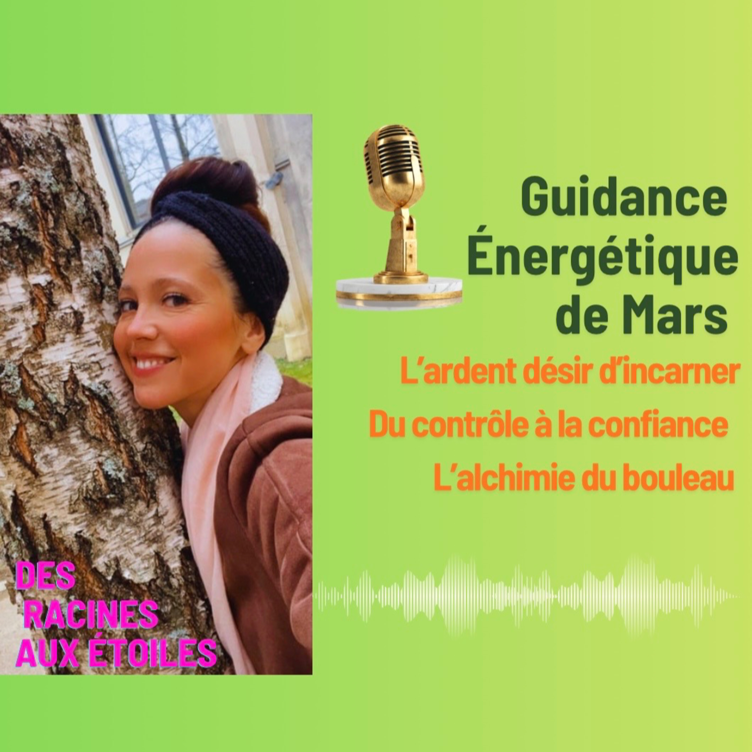 #9 L'ardent désir d'incarner : du contrôle à la confiance - Guidance de Mars episode artwork
