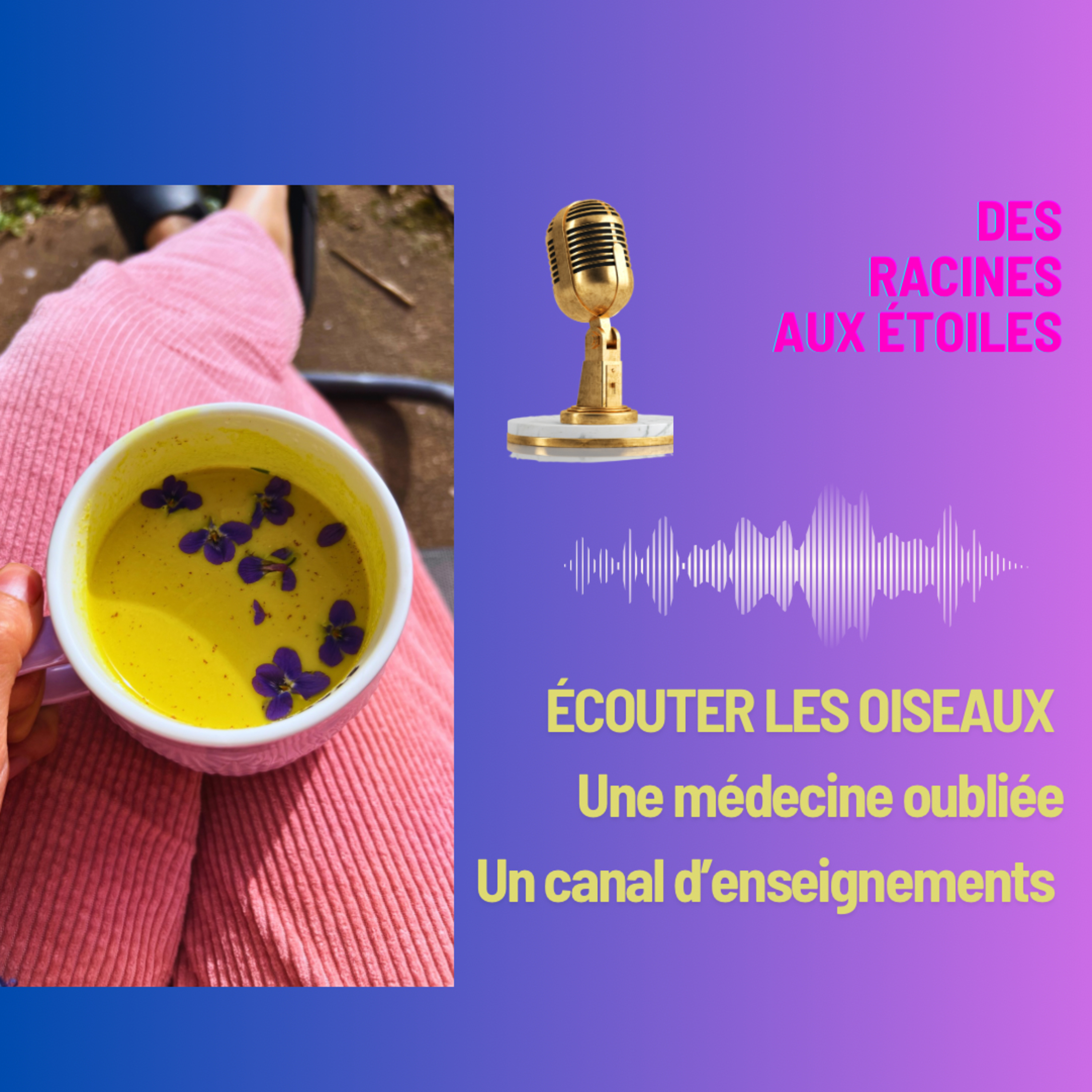 #10 Recevoir inspiration et guérison grâce au chant des oiseaux  episode artwork