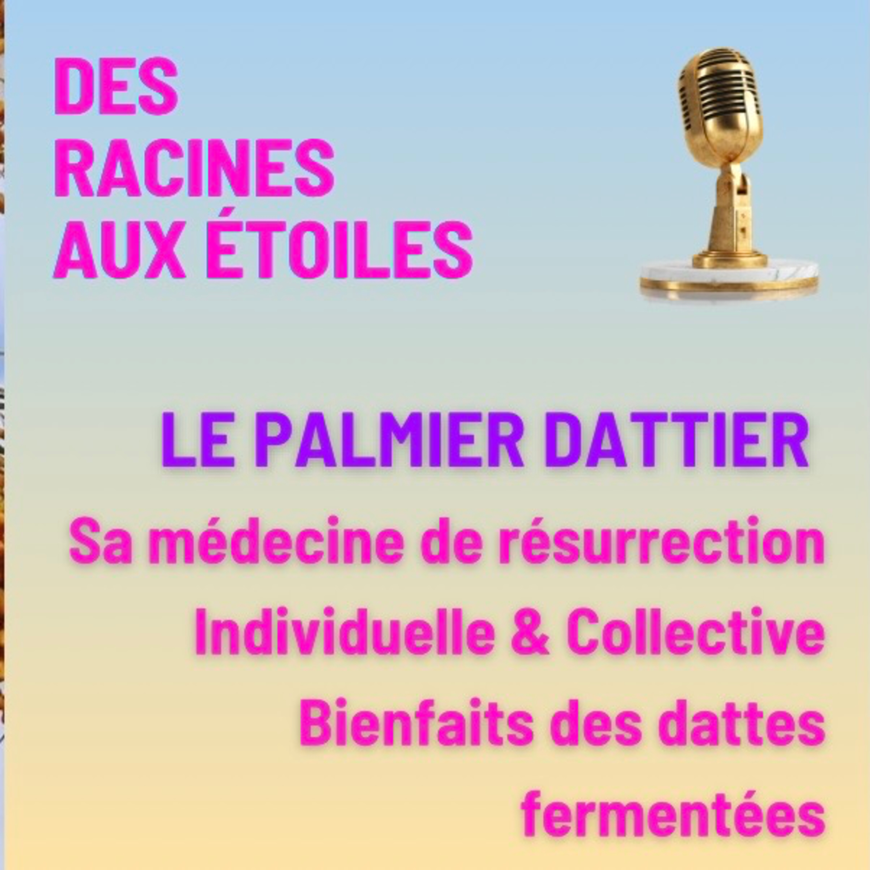 #13 La datte : fruit de la résurrection du corps et des peuples episode artwork
