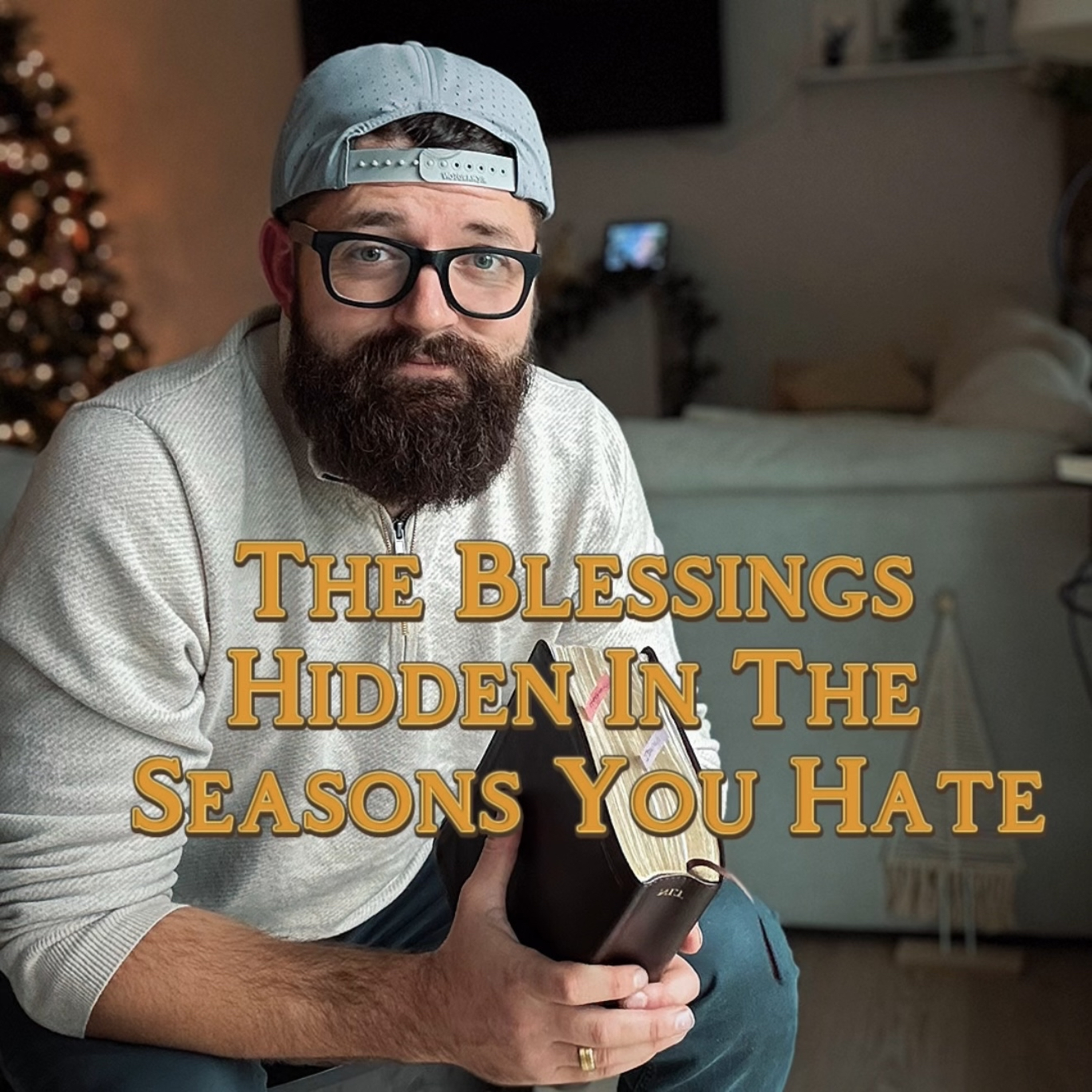 The blessings hidden, in the seasons you hate  episode artwork