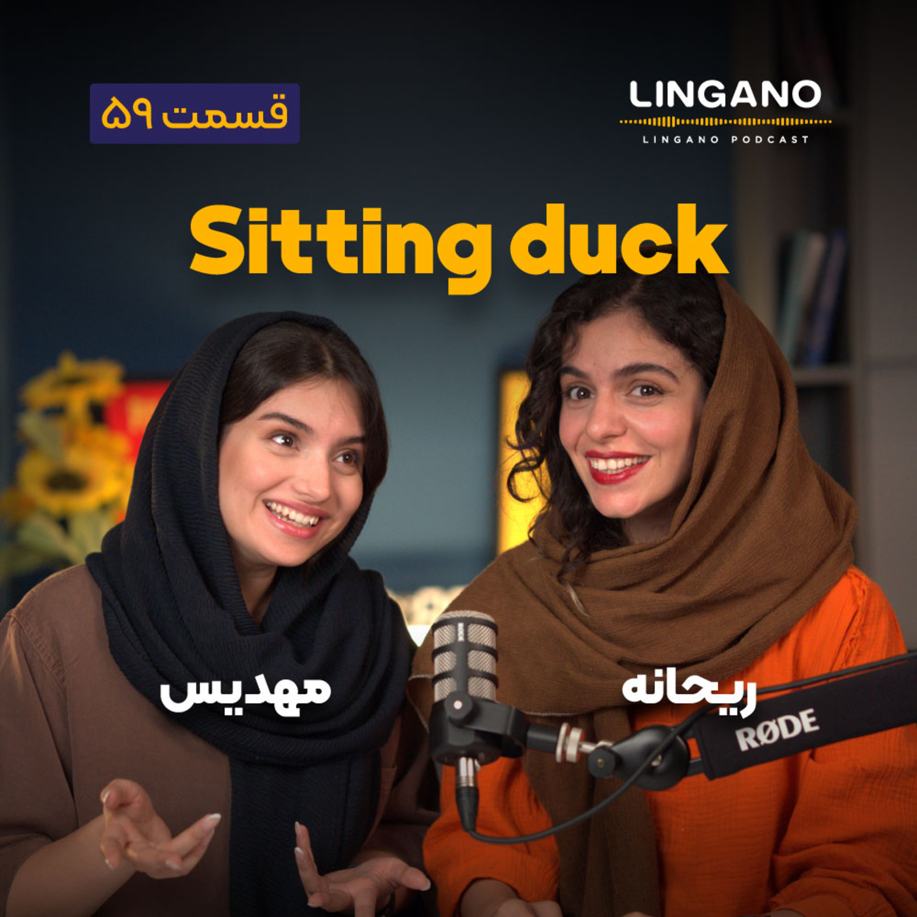 قسمت ۵۹ - A sitting duck قسمت ۵۹ - A sitting duck