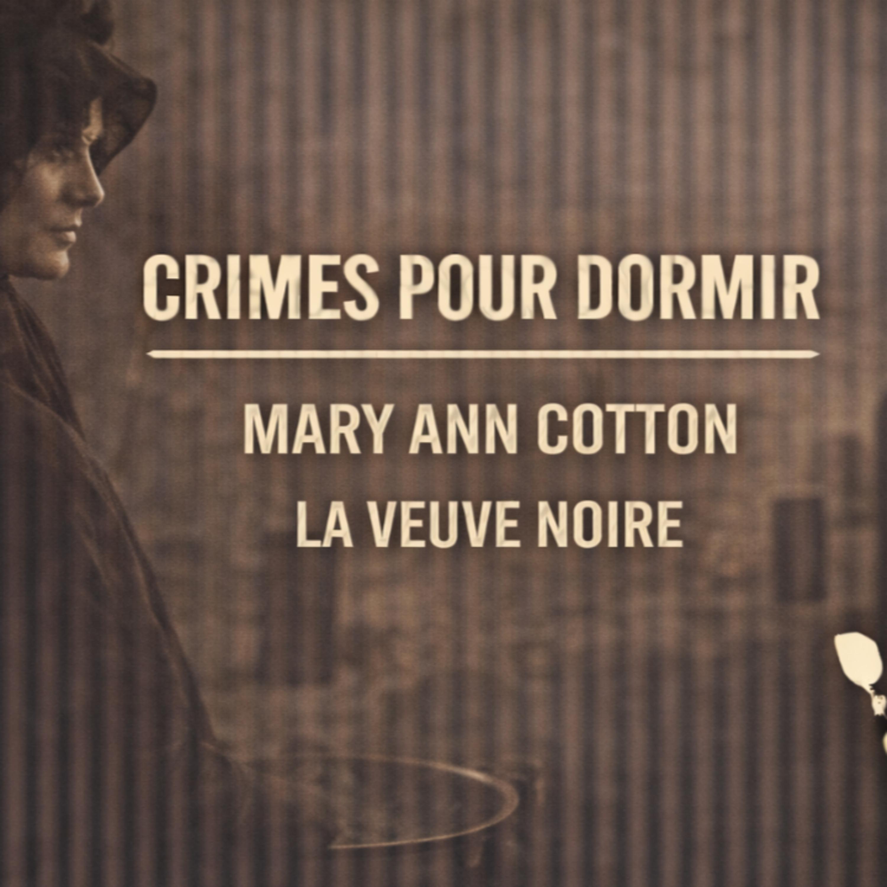 Histoire pour Dormir : Mary Ann Cotton – La Veuve Noire de l’Angleterre Victorienne