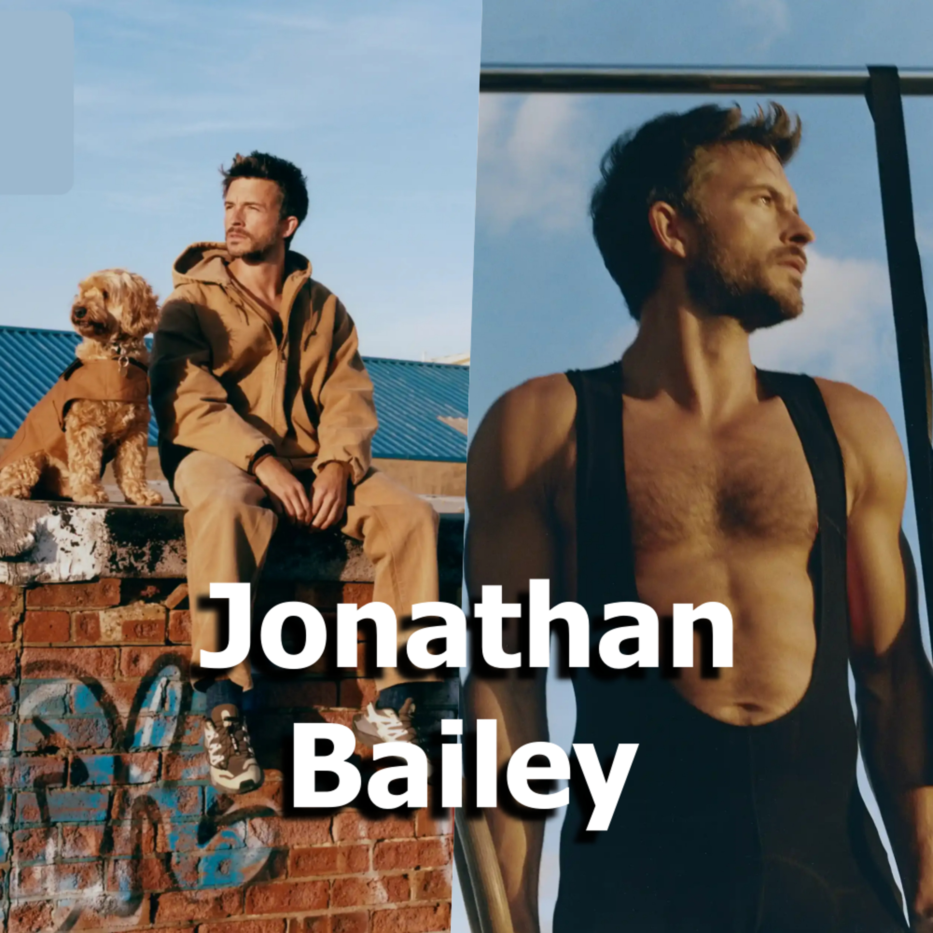 RGartner Audios Español