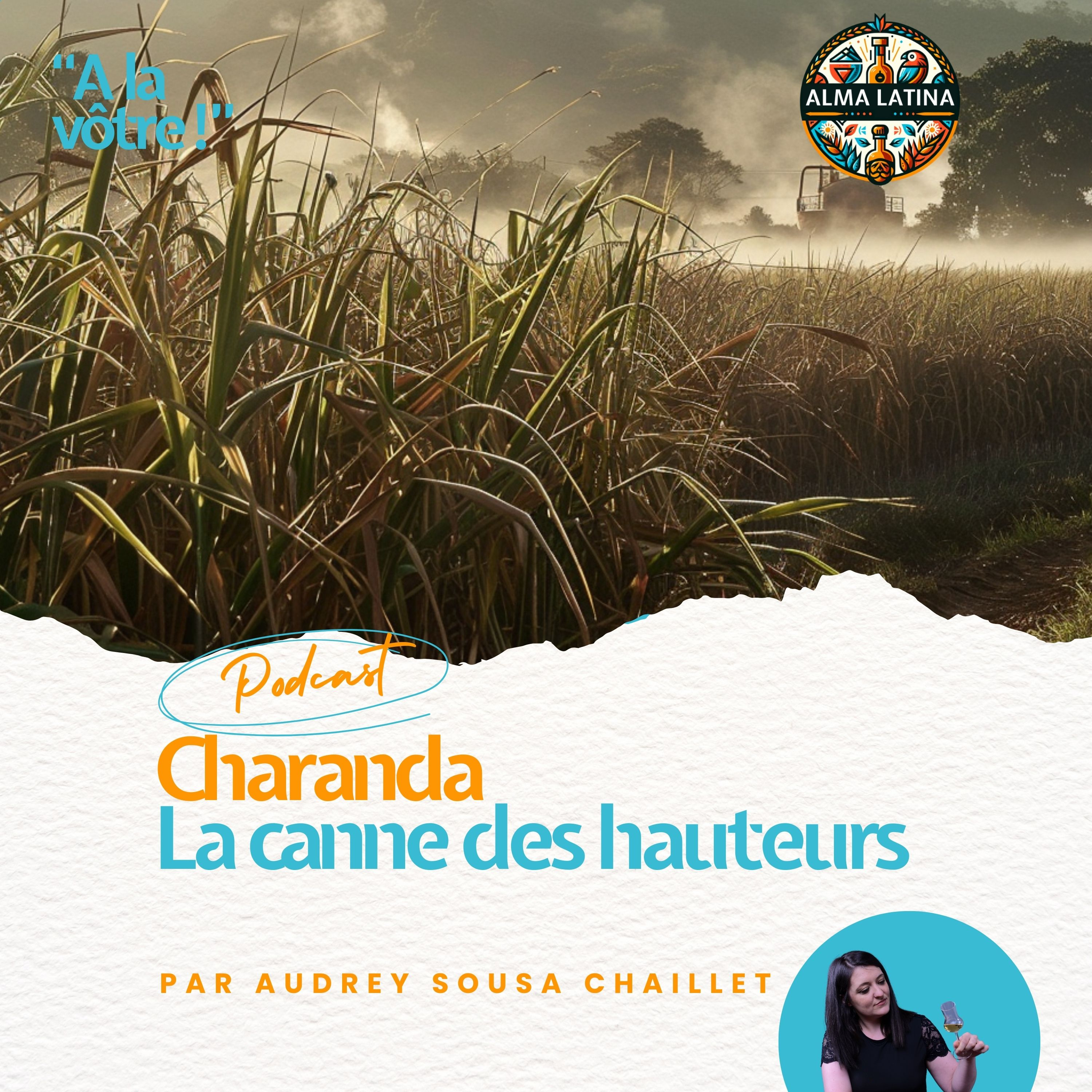 Alma Latina – À la vôtre