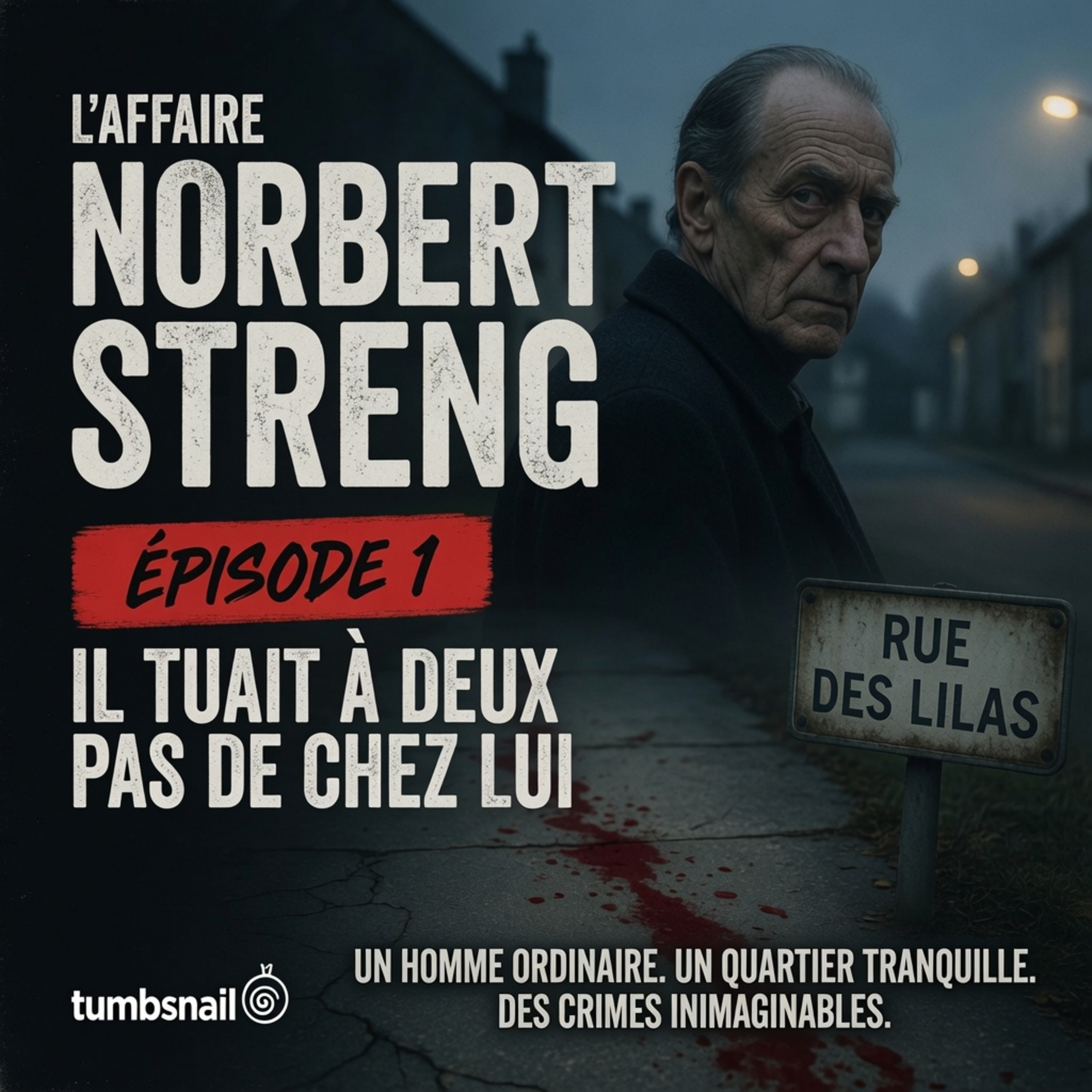 L'affaire Norbert Streng | Épisode 1 | Il tuait à deux pas de chez lui | creepy pasta