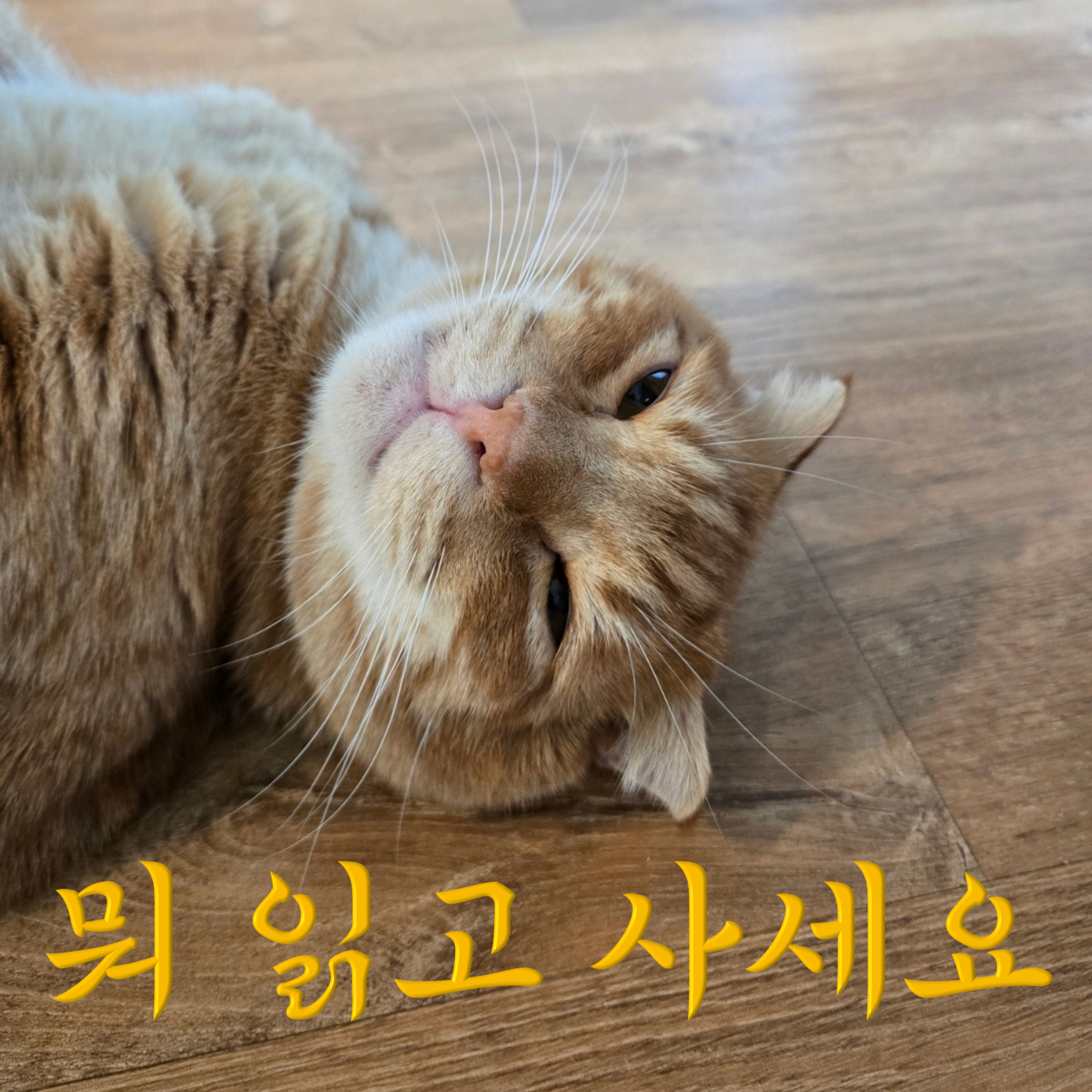 뭐 읽고 사세요? 뭐읽사 2회 : 파베세의 마지막 여름, 미디어의 지질학, 미망 episode artwork