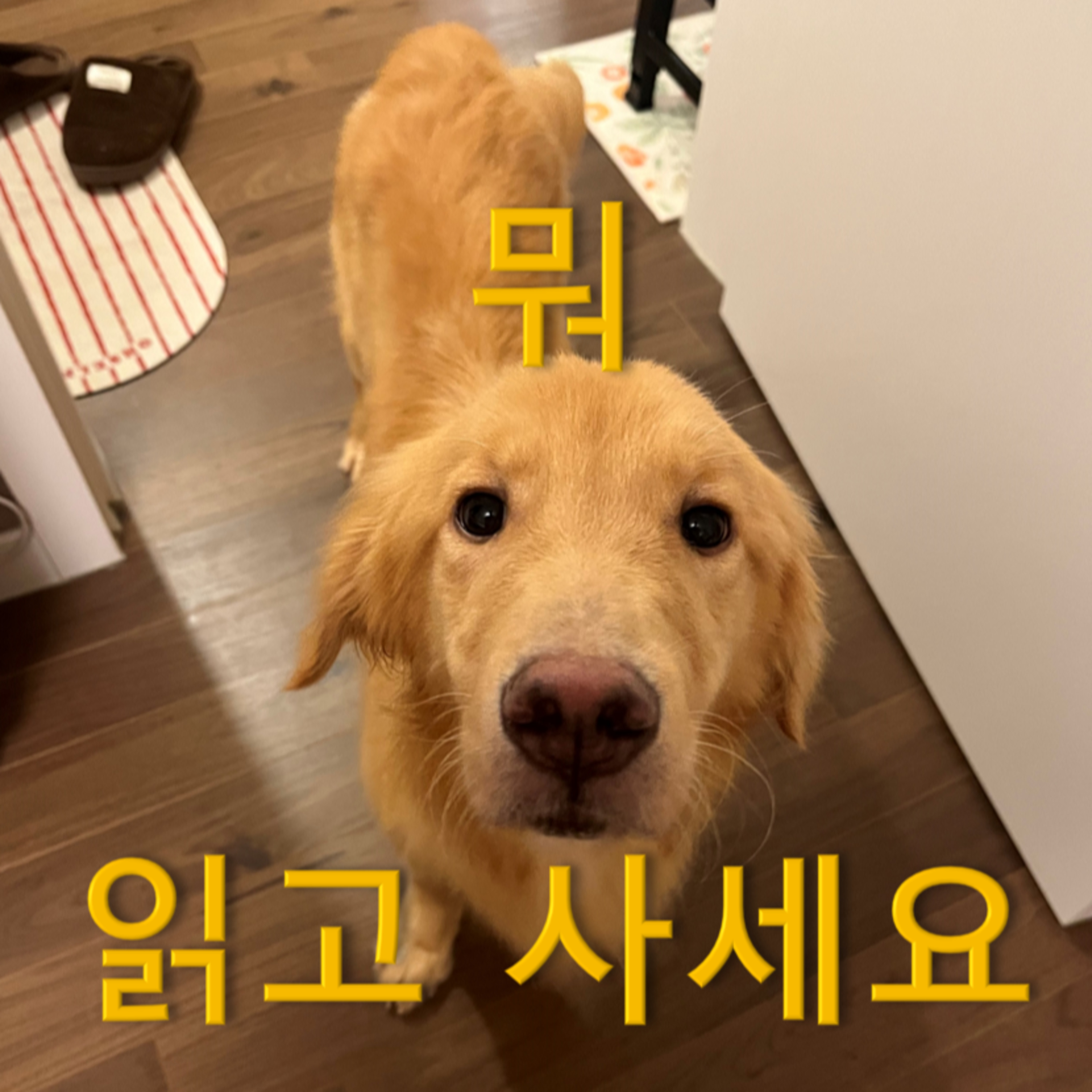 뭐 읽고 사세요? 뭐읽사 3회 : 임신테스트기, 폐기된 인생, 구불구불 빙빙 팡 터지며 전진하는 서사 episode artwork