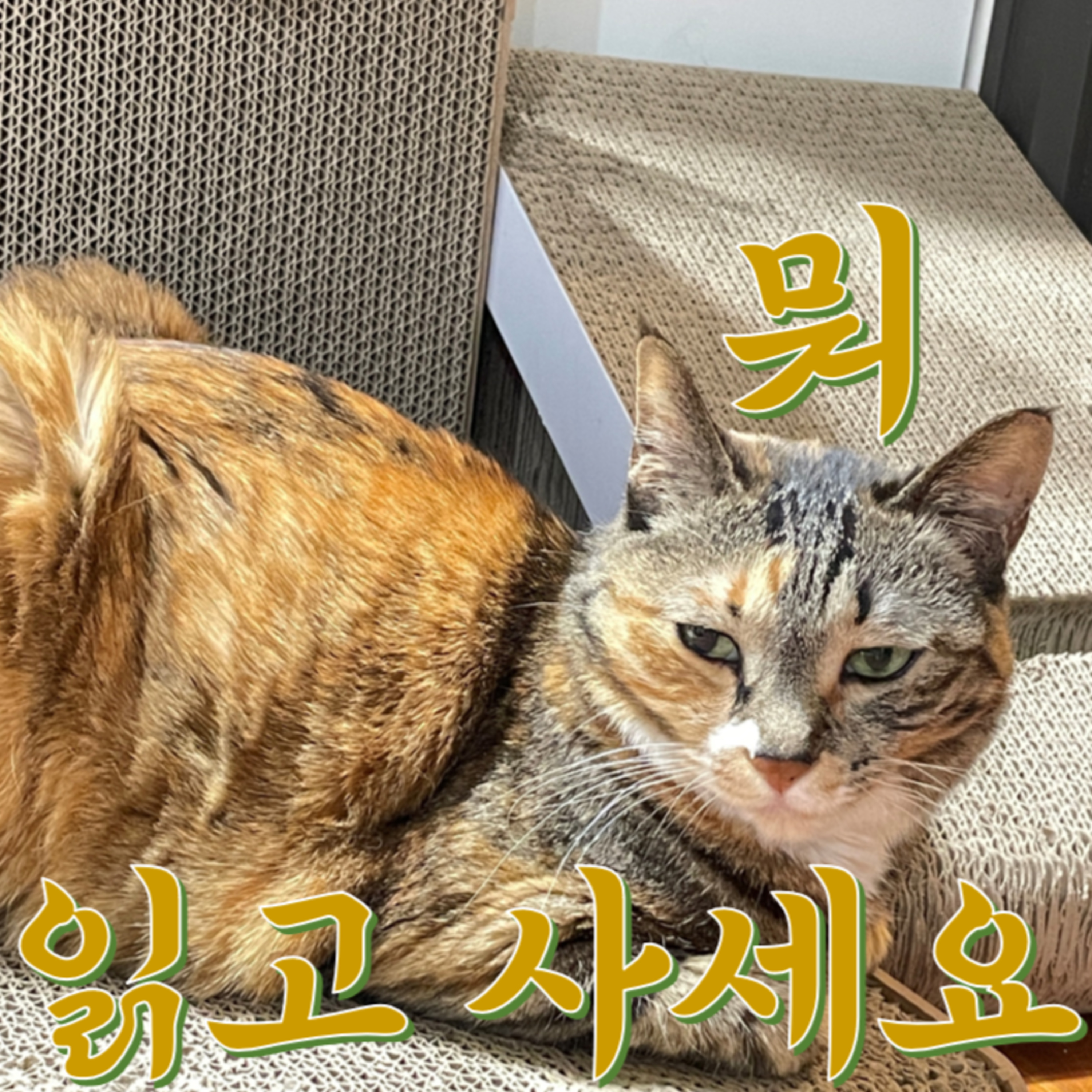 뭐 읽고 사세요? 뭐읽사 6회 : 사명을 찾아서, 어느 서민 여성의 삶 노년 죽음, 아름다운 여름 episode artwork