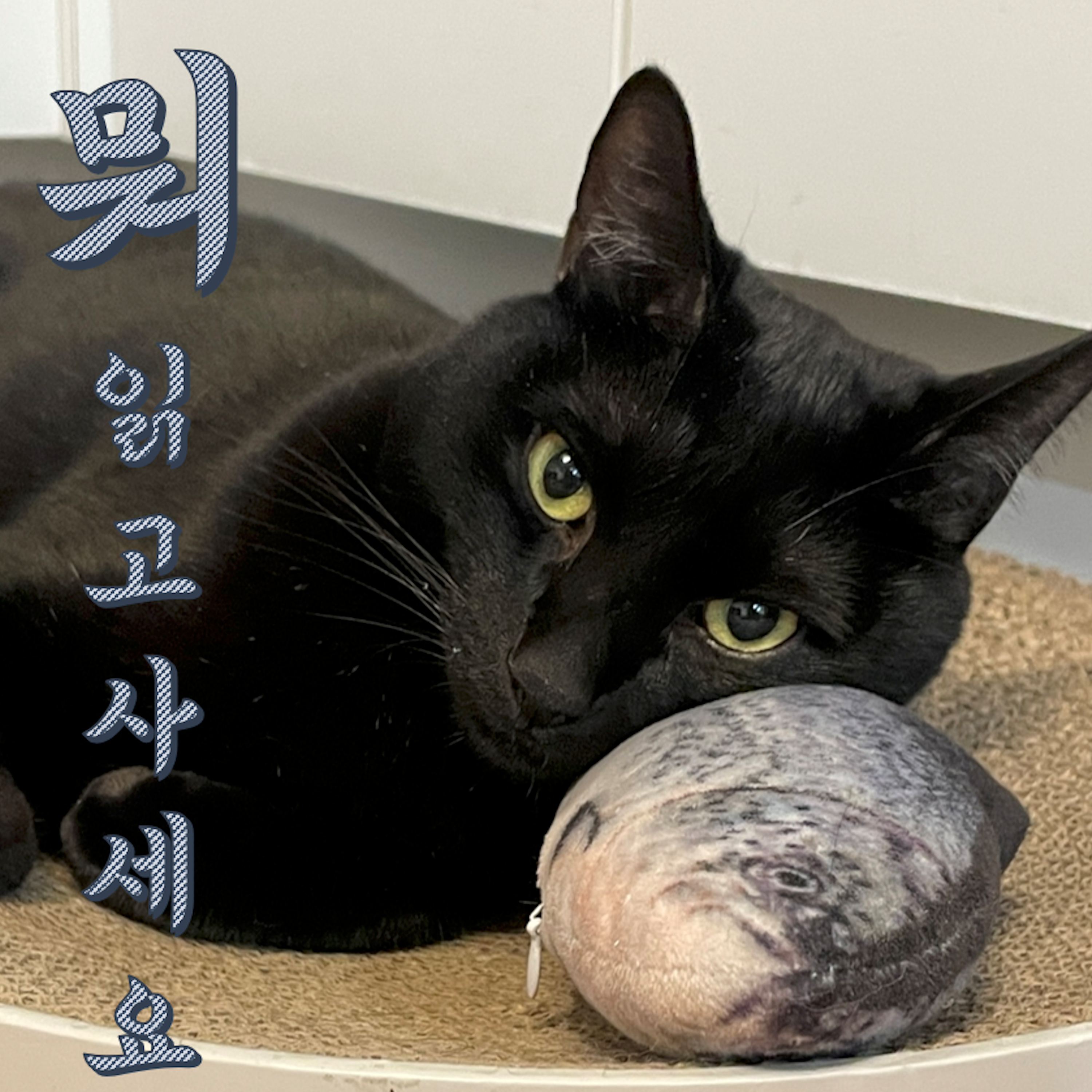 뭐 읽고 사세요? 뭐읽사 8회 : 던전밥, 종말을 준비하는 사람들, 끝까지 증언하는 사람 ...그리고 잠시 안녕? episode artwork