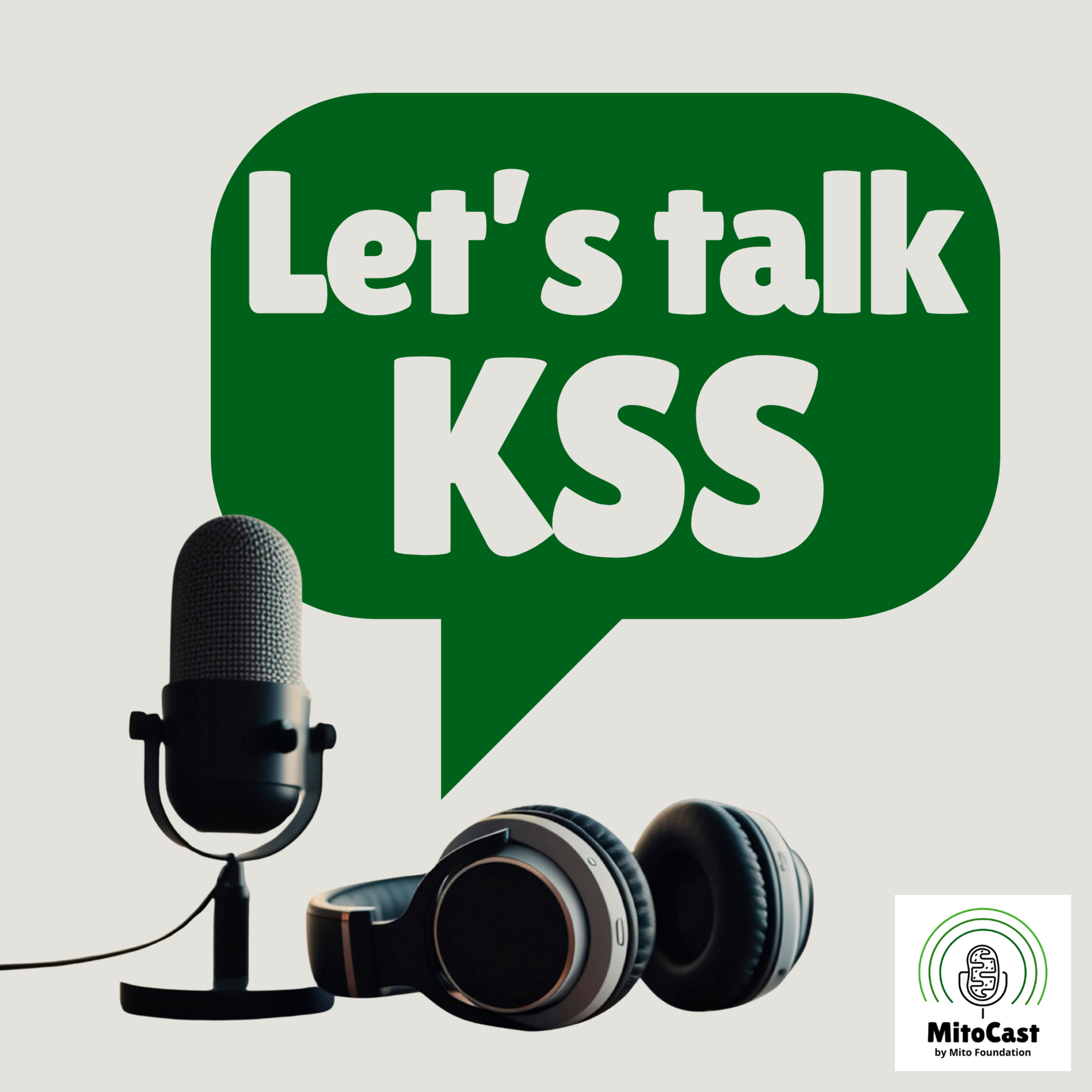 Let's talk KSS episode artwork