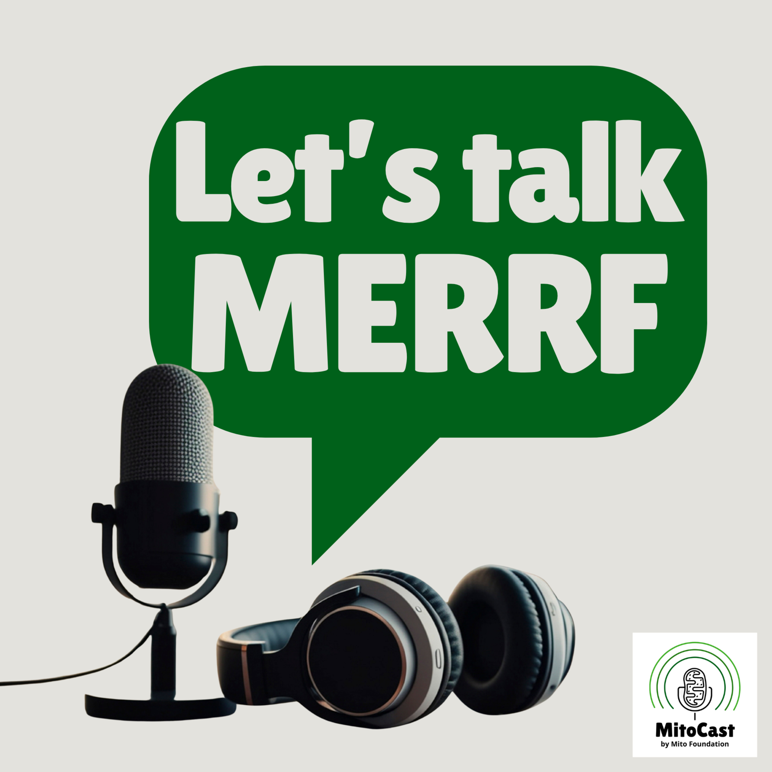 Let's talk MERRF episode artwork