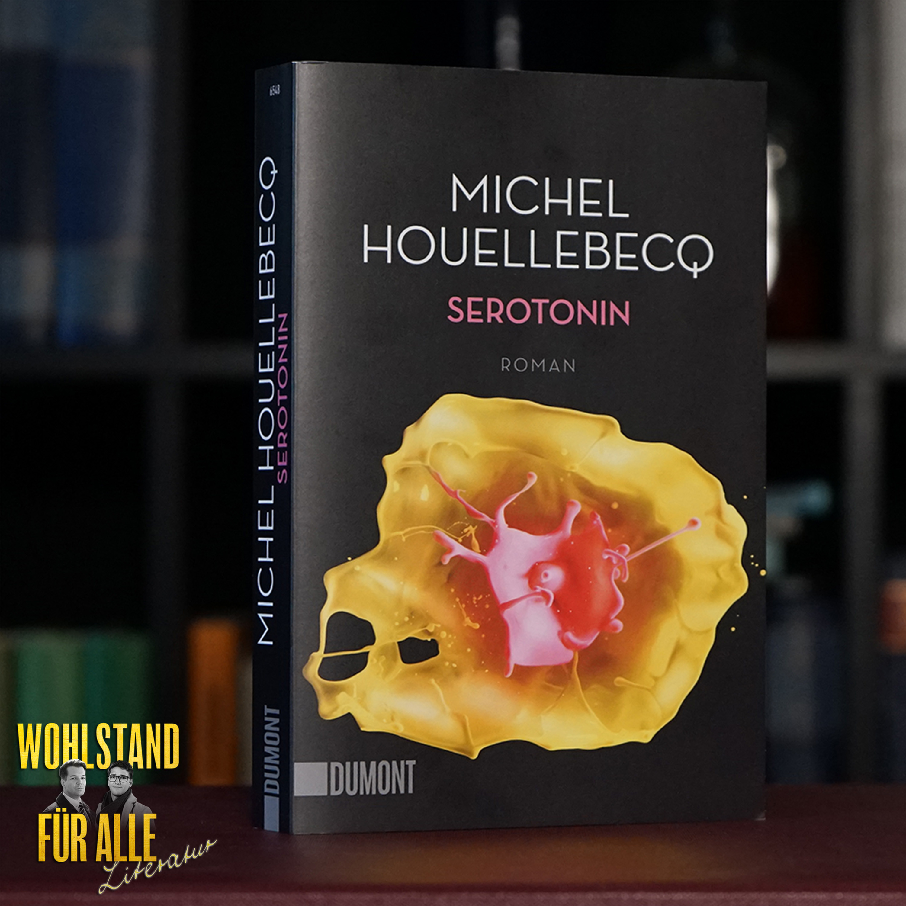 SEROTONIN: Michel Houellebecqs düsterster Roman episode artwork