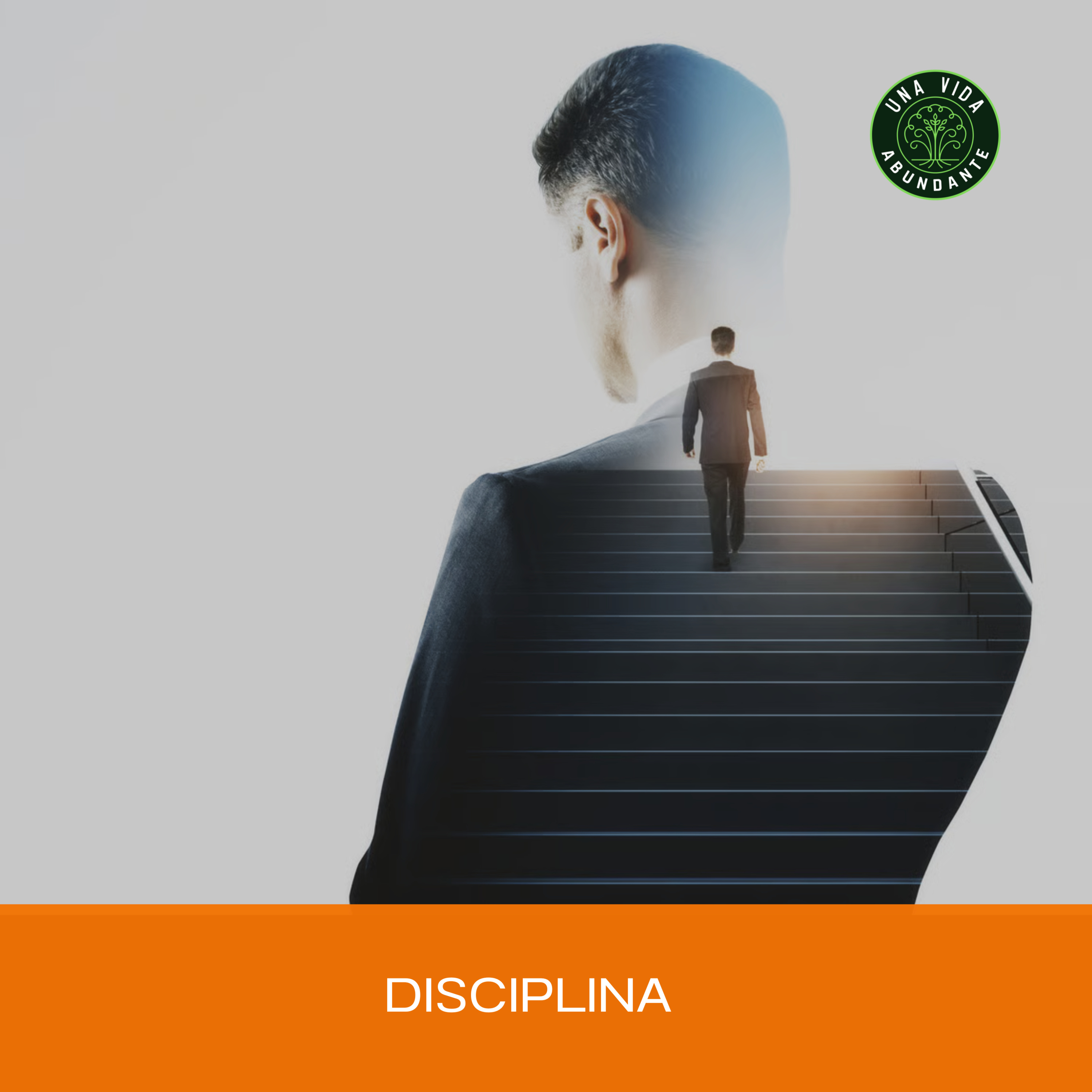 Disciplina episode artwork
