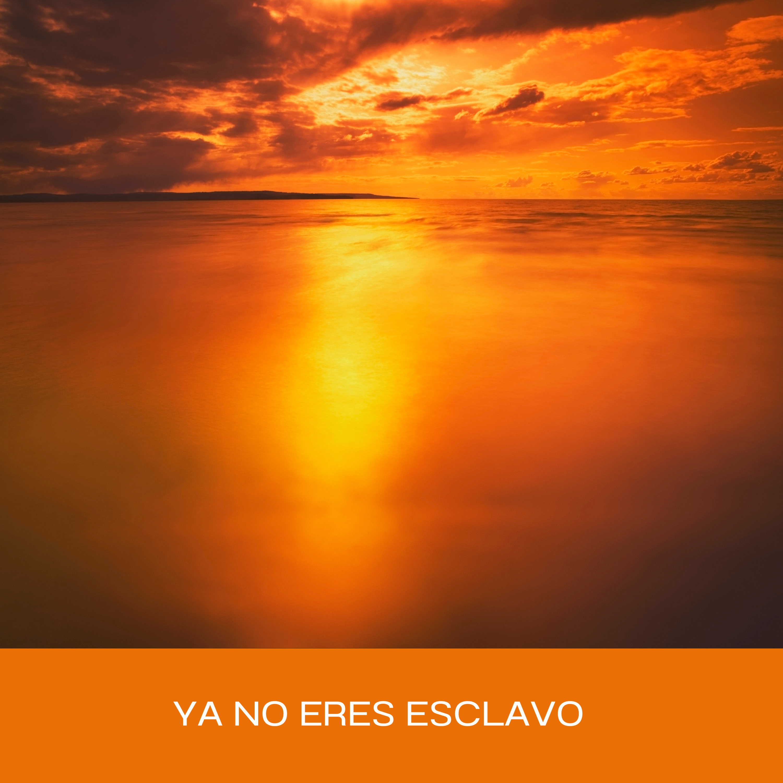 Portada de Una Vida Abundante