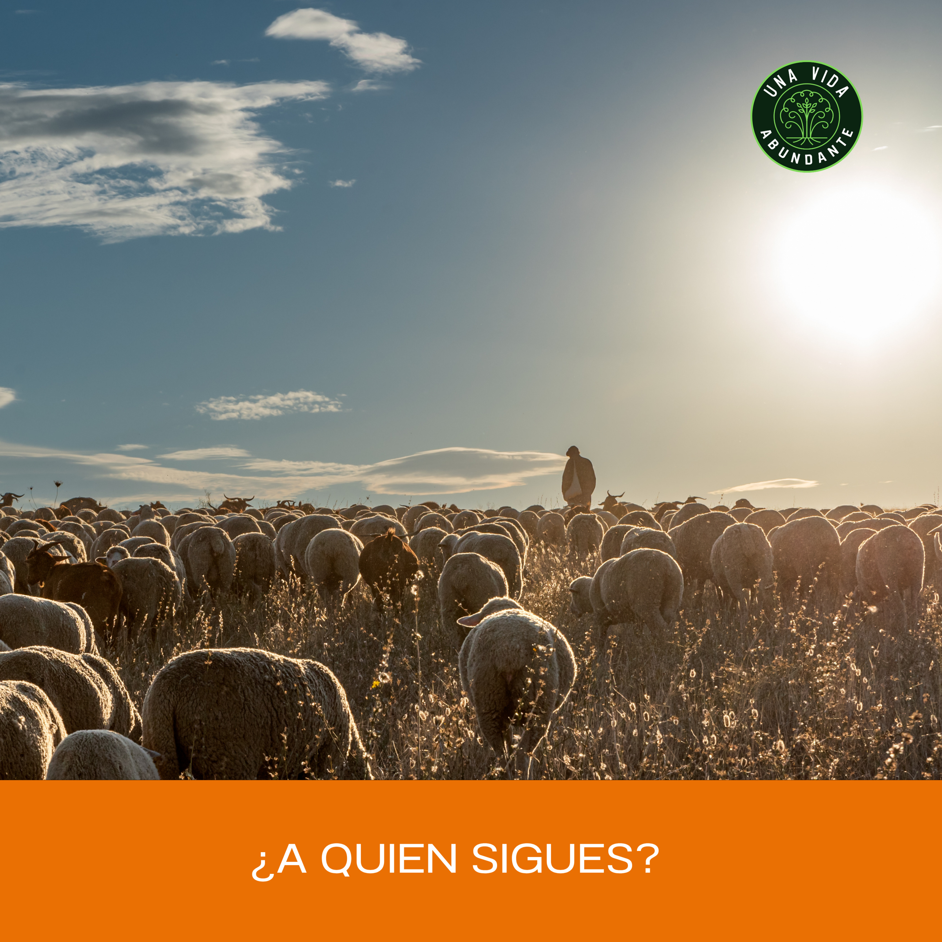 Portada de Una Vida Abundante