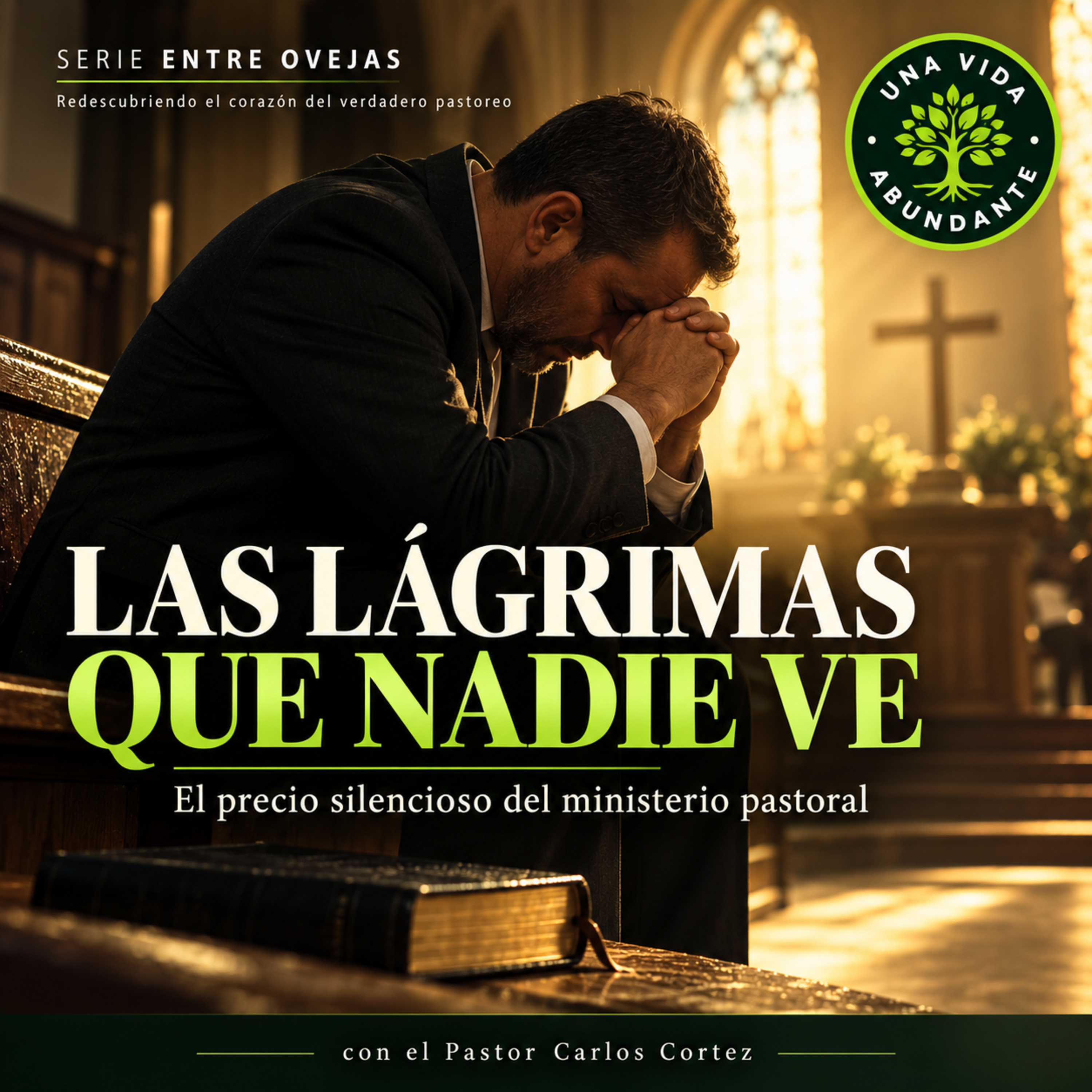 Portada de Una Vida Abundante