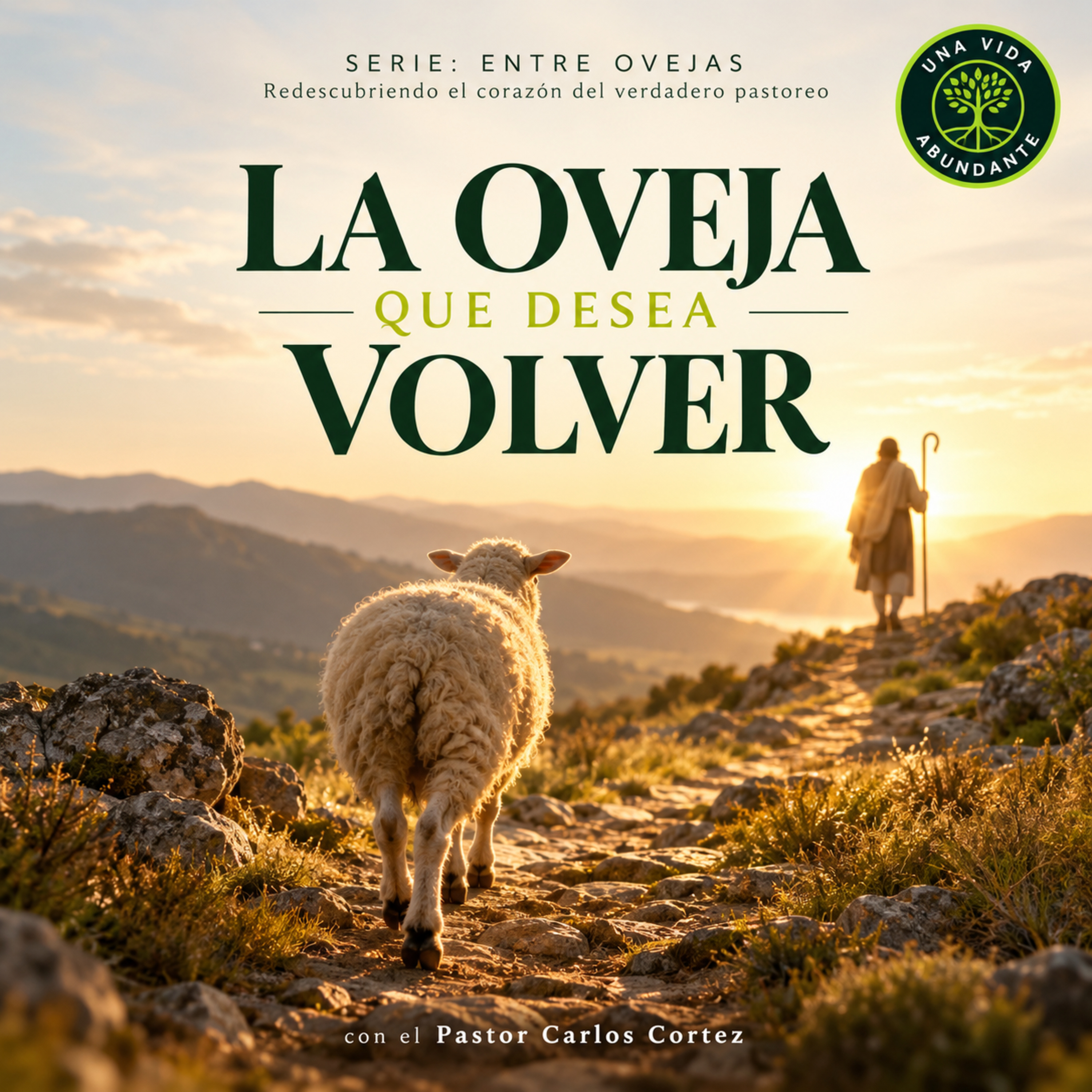 Portada de Una Vida Abundante