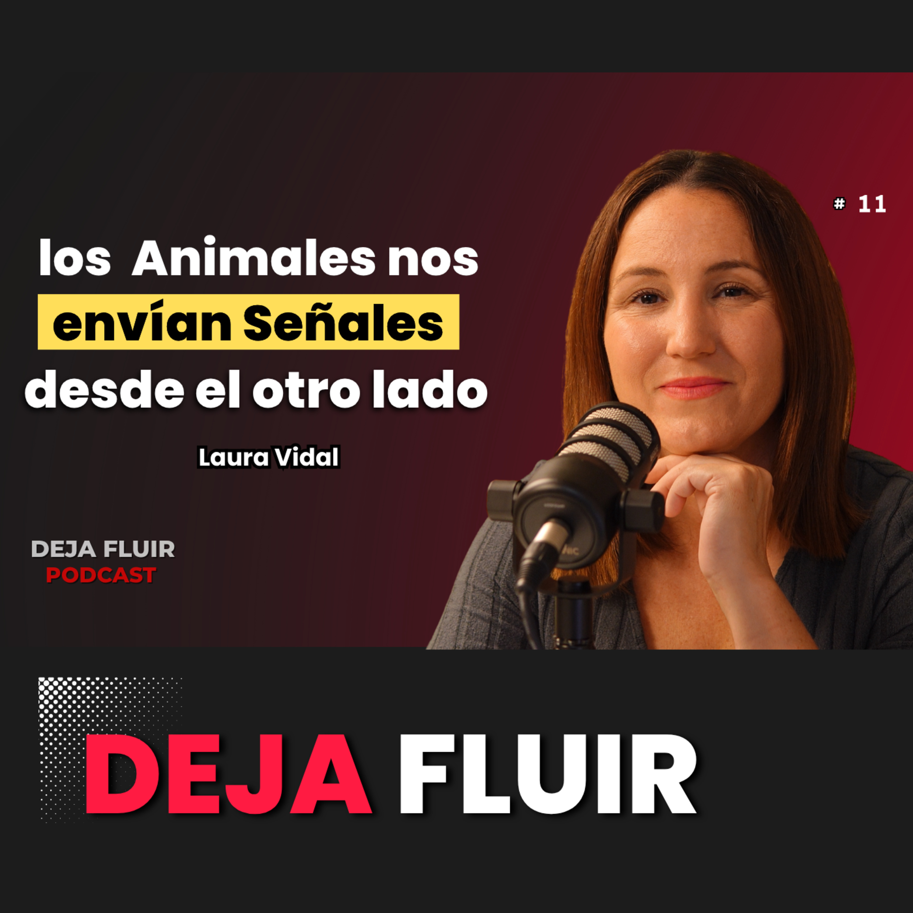 Deja Fluir Podcast