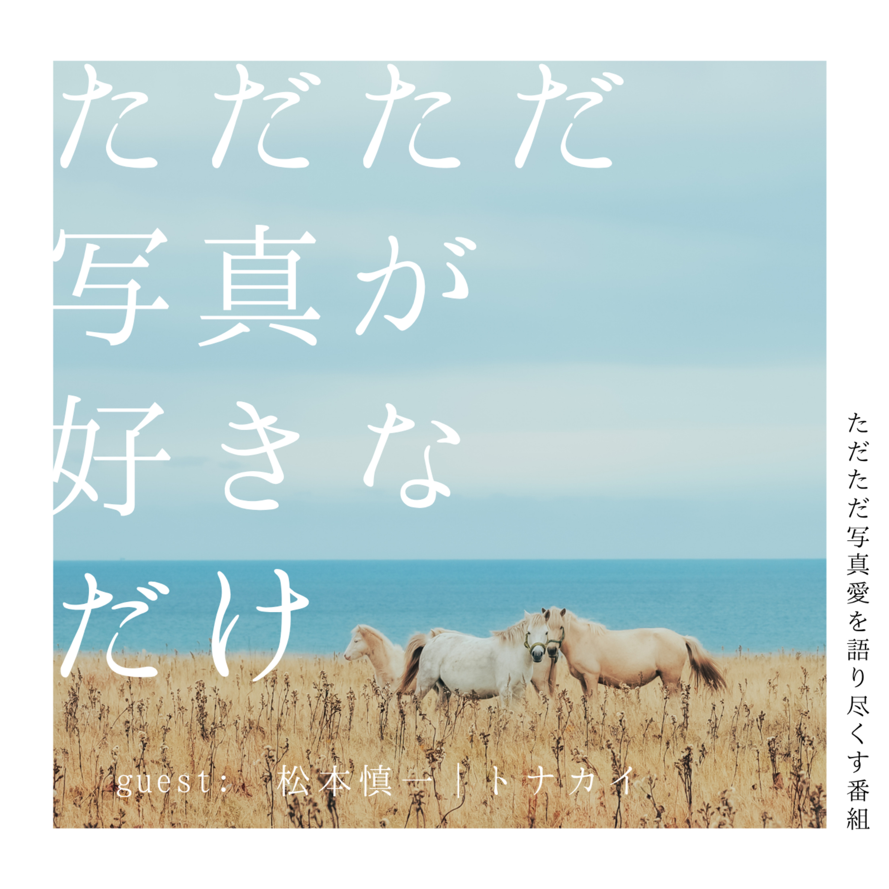 21. ゲスト:松本慎一|トナカイさん「言葉と写真について」後編 episode artwork